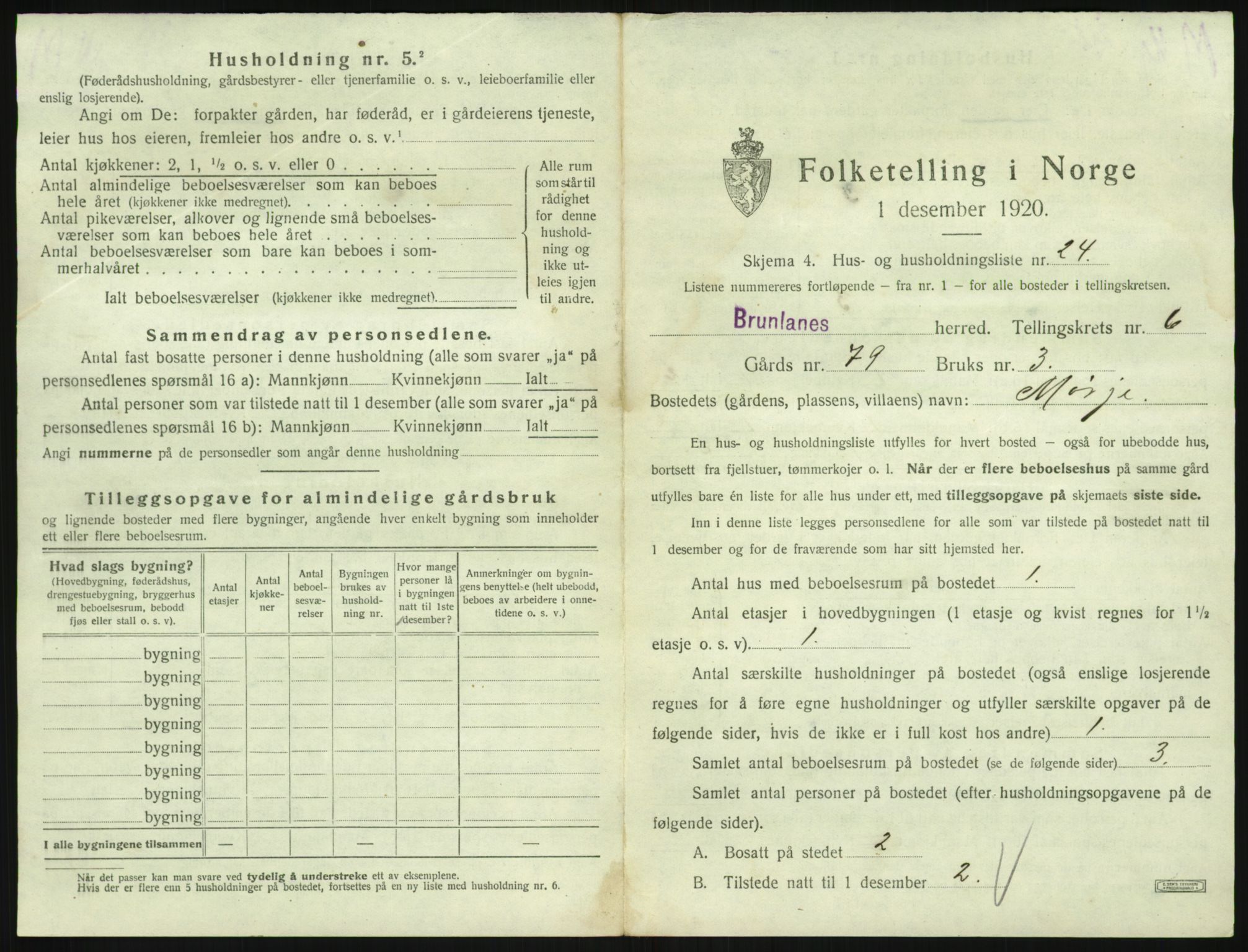 SAKO, 1920 census for Brunlanes, 1920, p. 911