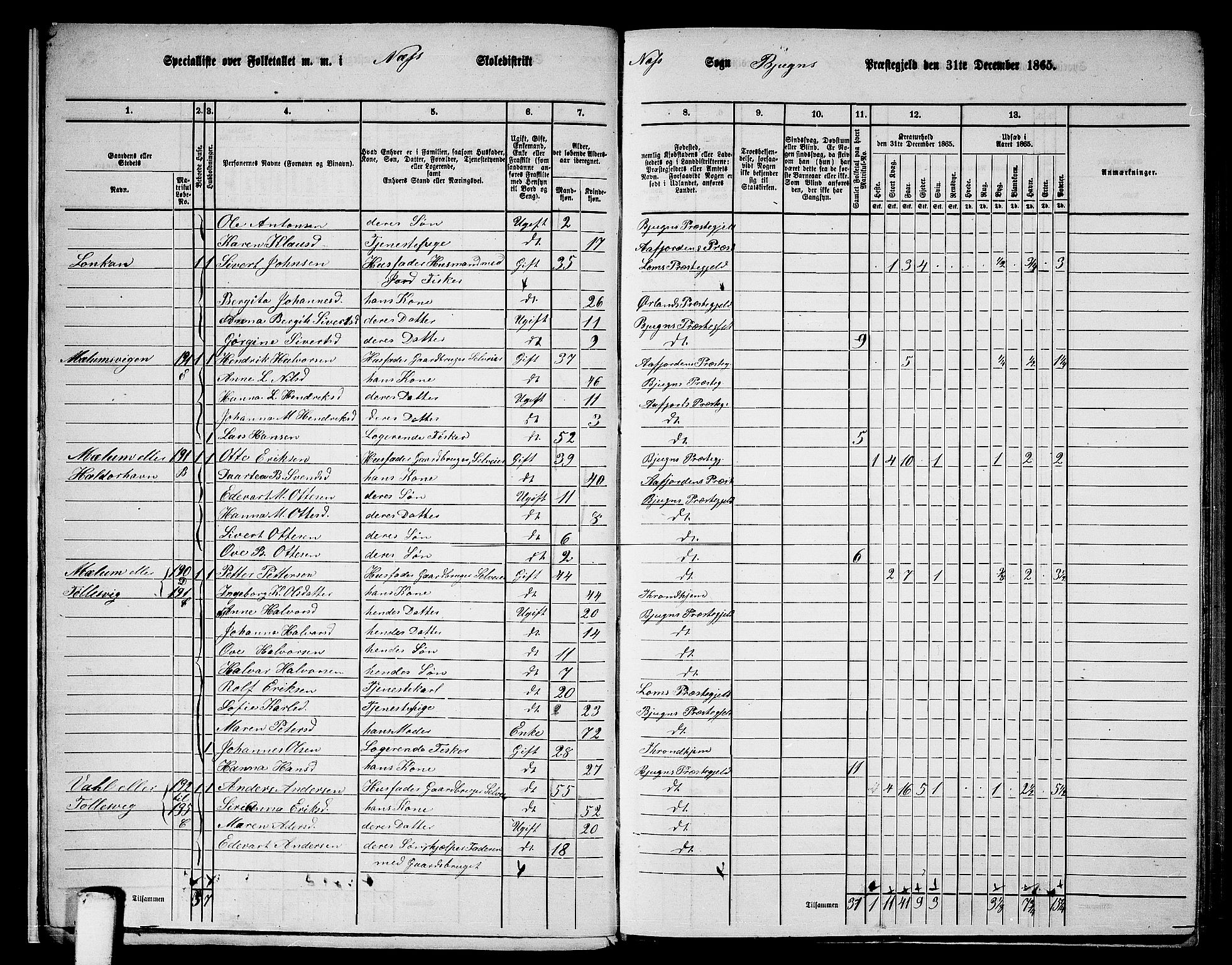 RA, 1865 census for Bjugn, 1865, p. 12