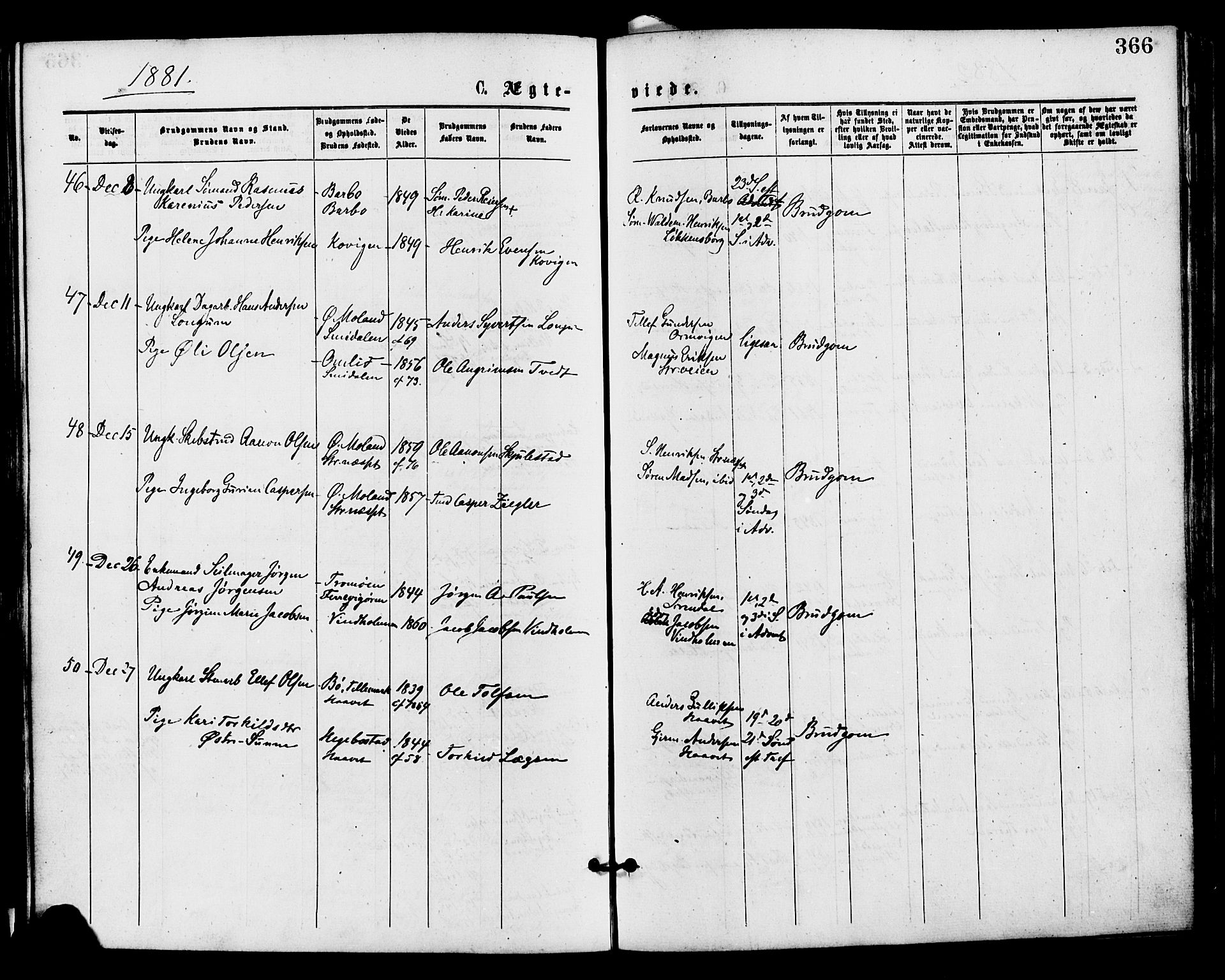 Barbu sokneprestkontor, AV/SAK-1111-0003/F/Fa/L0001: Parish register (official) no. A 1 /1, 1878-1883, p. 366