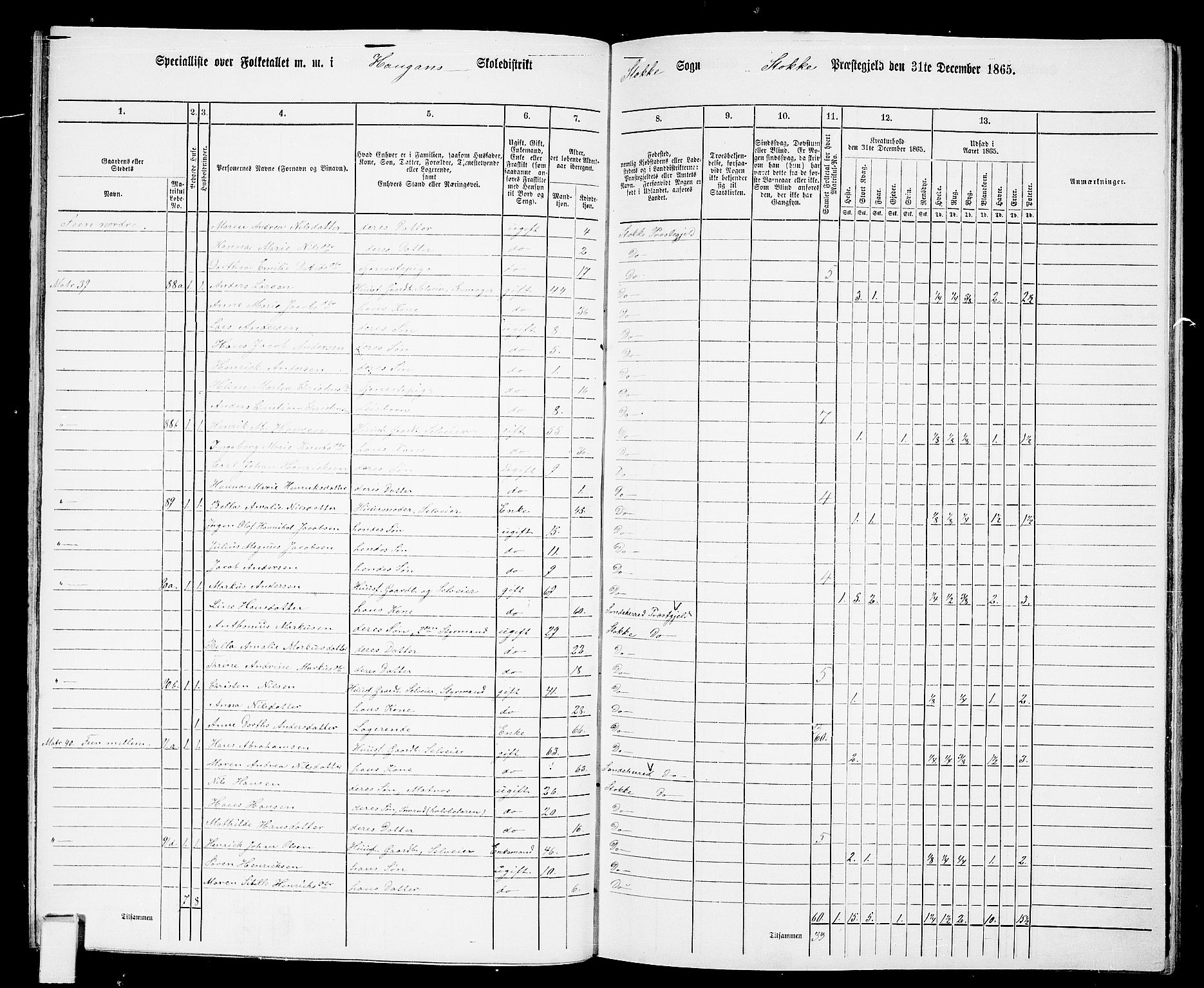 RA, 1865 census for Stokke, 1865, p. 81