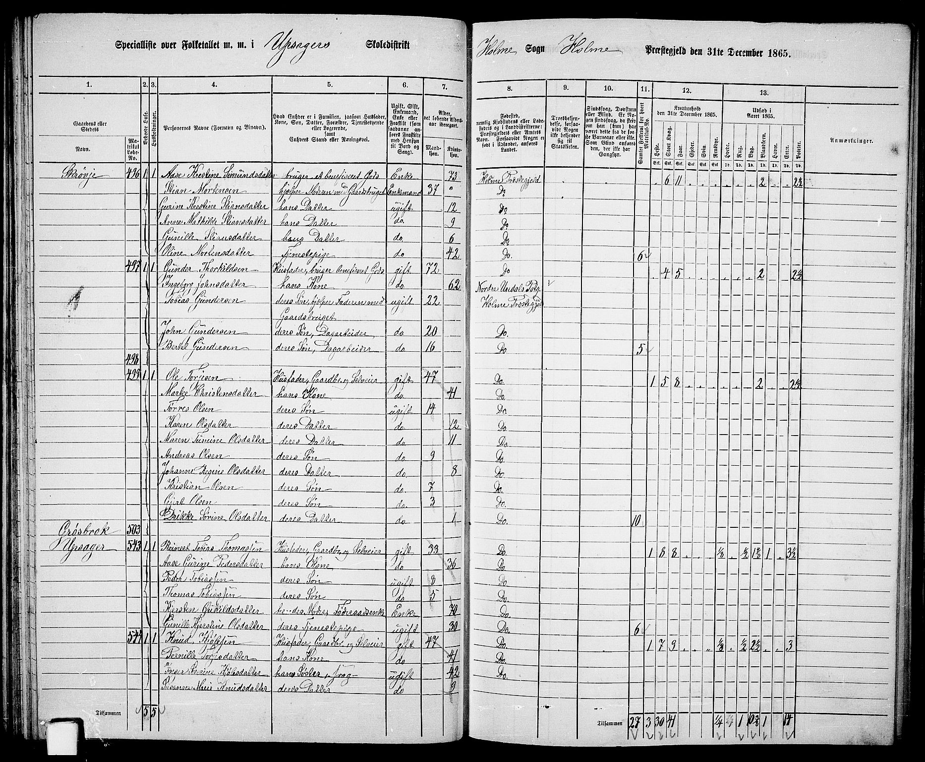 RA, 1865 census for Holum, 1865, p. 50