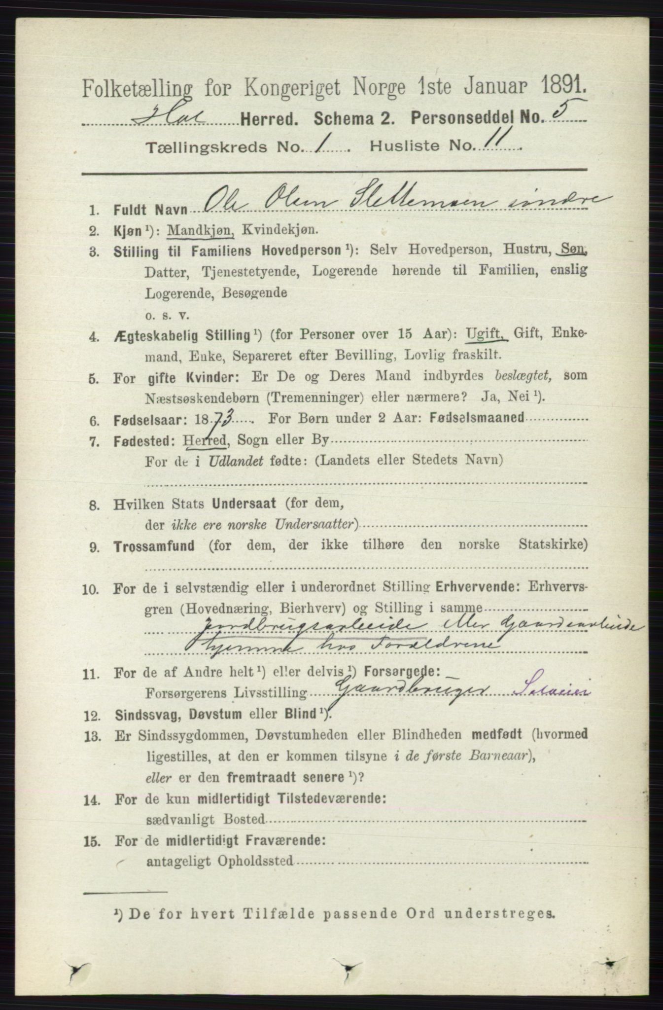 RA, 1891 census for 0620 Hol, 1891, p. 119