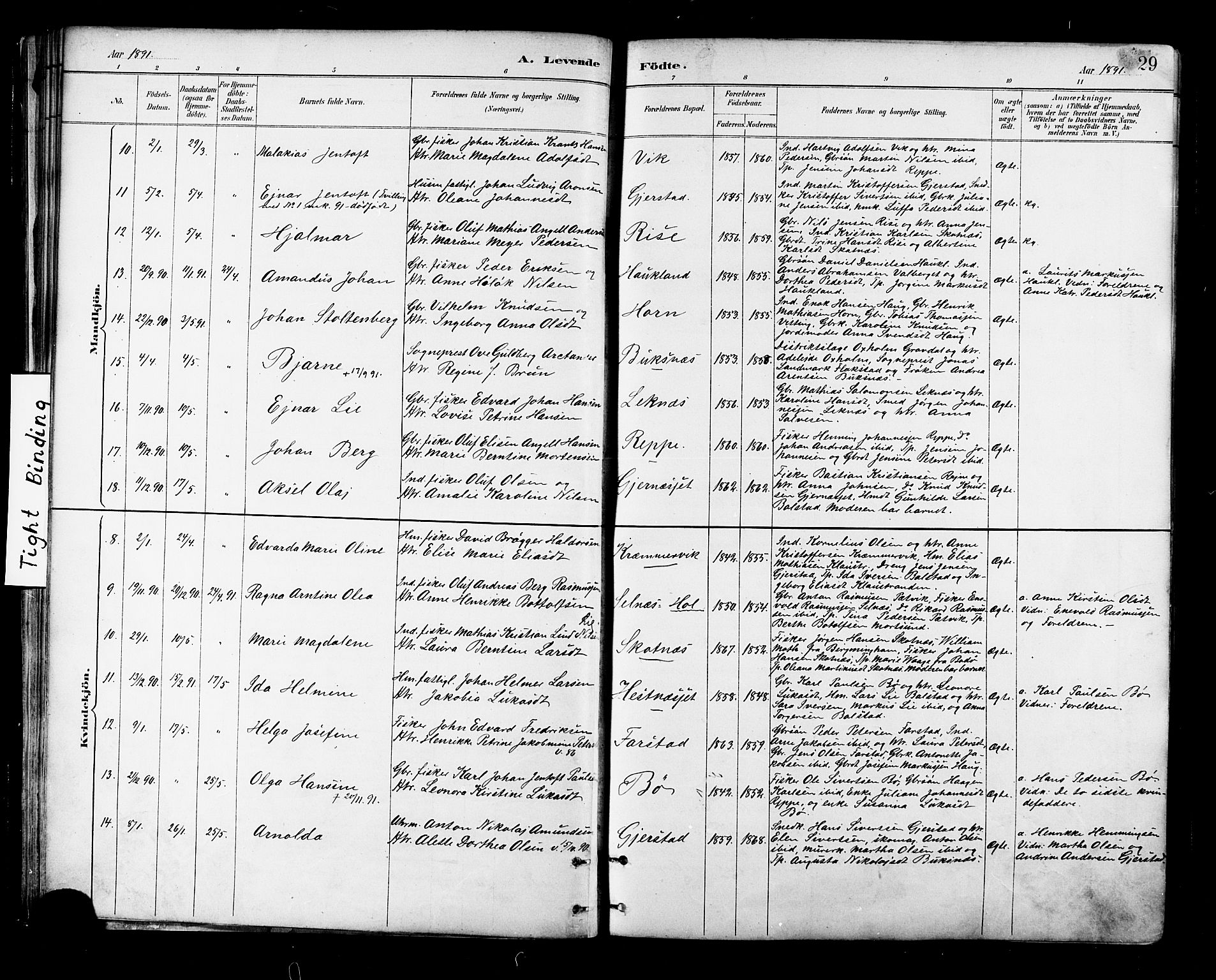 Ministerialprotokoller, klokkerbøker og fødselsregistre - Nordland, SAT/A-1459/881/L1167: Parish register (copy) no. 881C04, 1886-1899, p. 29
