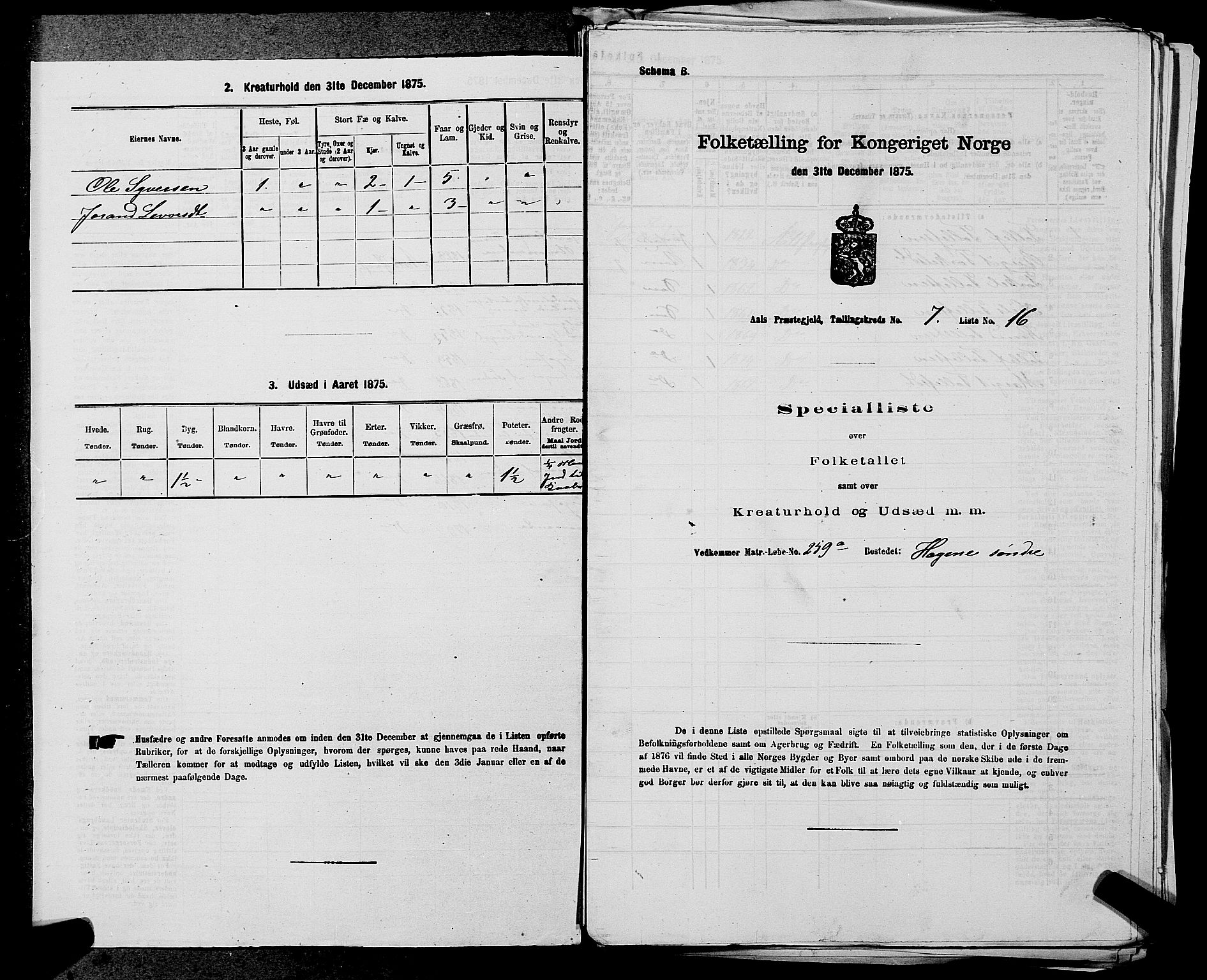 SAKO, 1875 census for 0619P Ål, 1875, p. 866