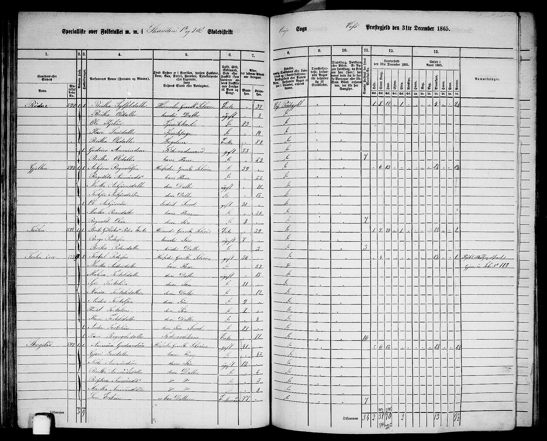 RA, 1865 census for Voss, 1865, p. 317