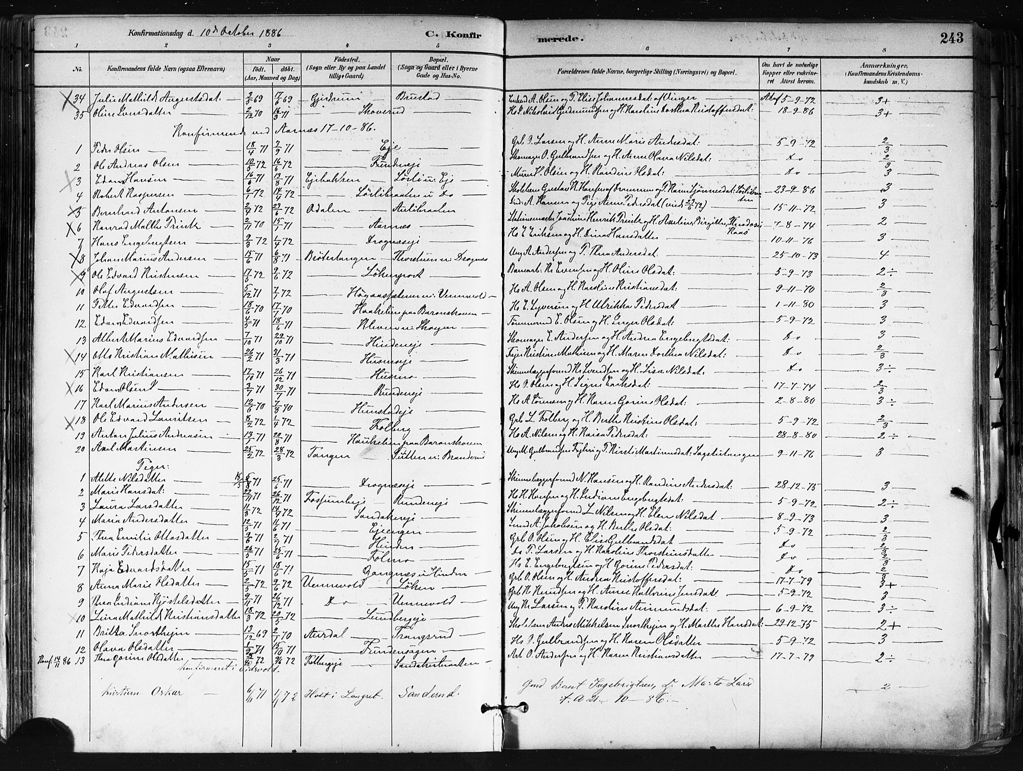 Nes prestekontor Kirkebøker, SAO/A-10410/F/Fa/L0010: Parish register (official) no. I 10, 1883-1898, p. 243