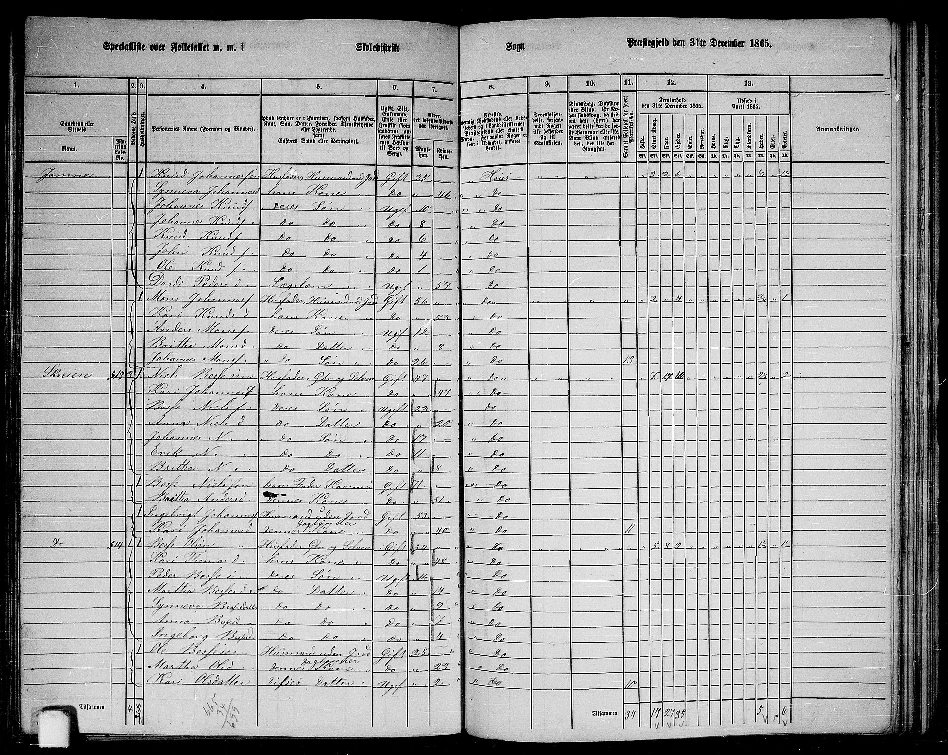 RA, 1865 census for Haus, 1865, p. 212