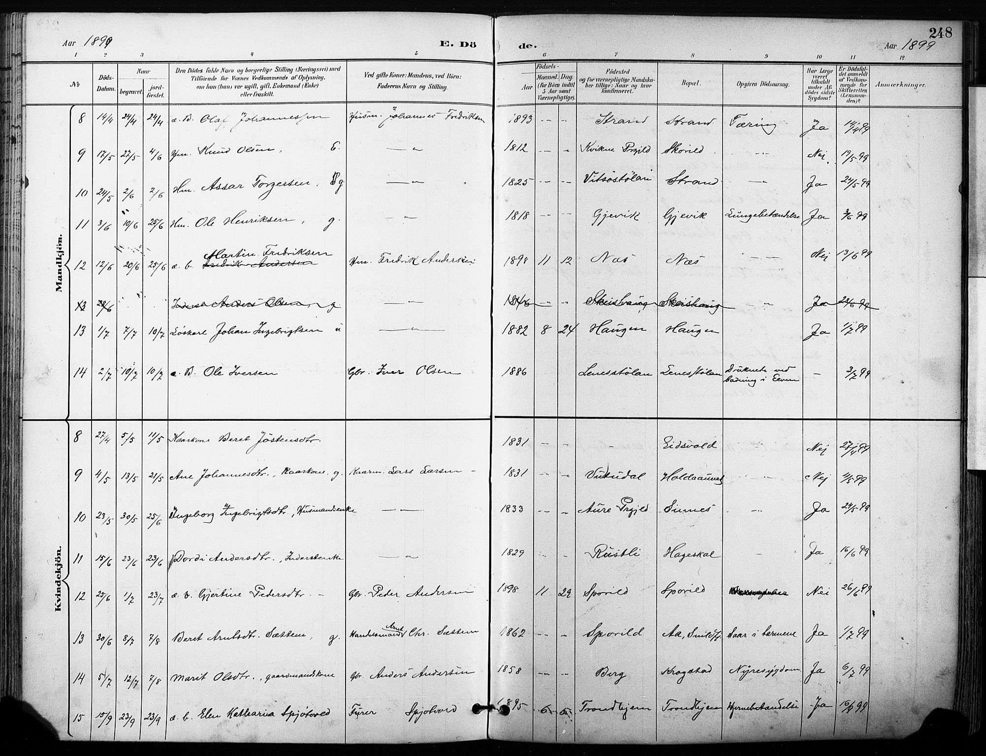 Ministerialprotokoller, klokkerbøker og fødselsregistre - Sør-Trøndelag, AV/SAT-A-1456/630/L0497: Parish register (official) no. 630A10, 1896-1910, p. 248