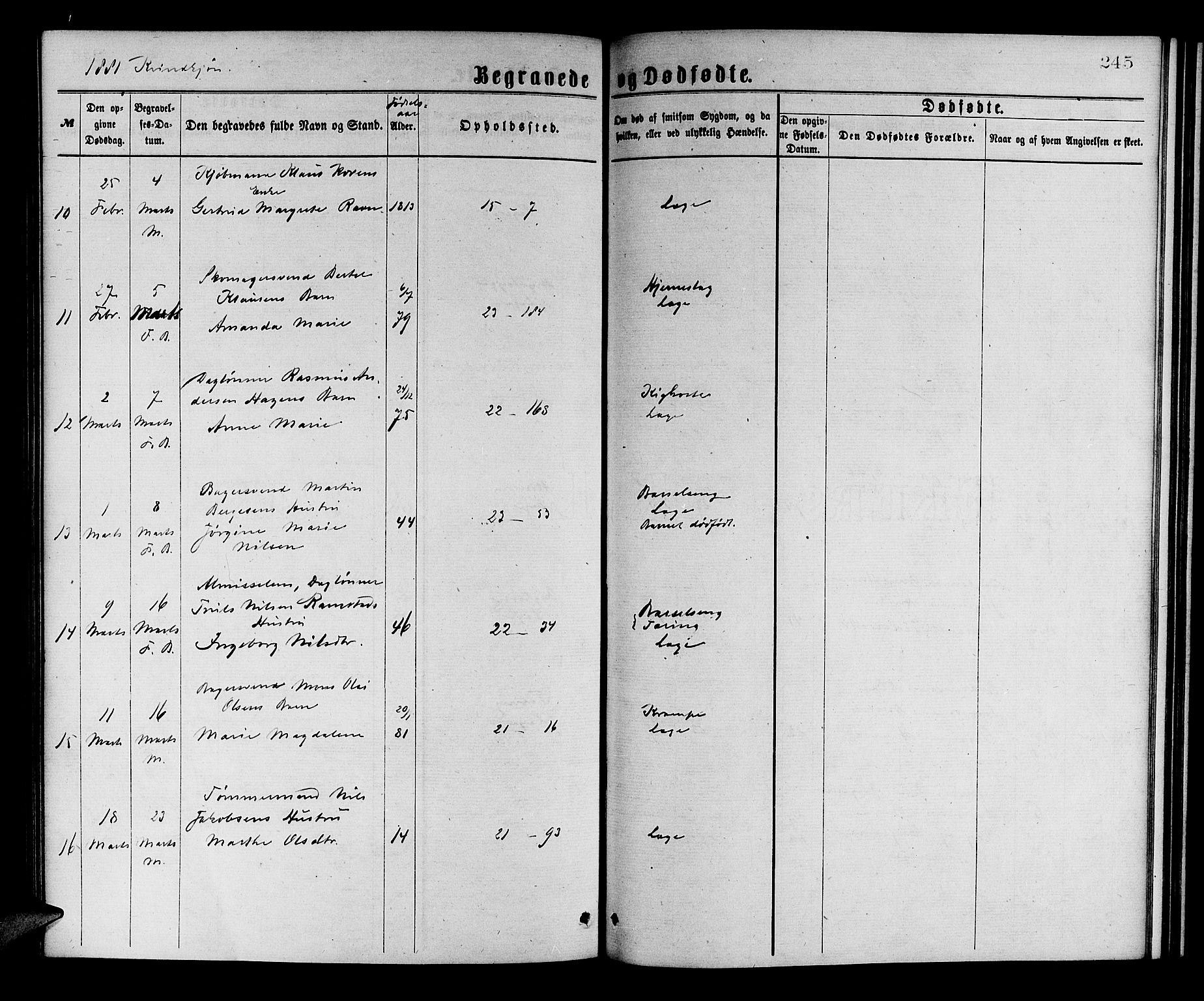 Korskirken sokneprestembete, SAB/A-76101/H/Hab: Parish register (copy) no. E 3, 1871-1883, p. 245