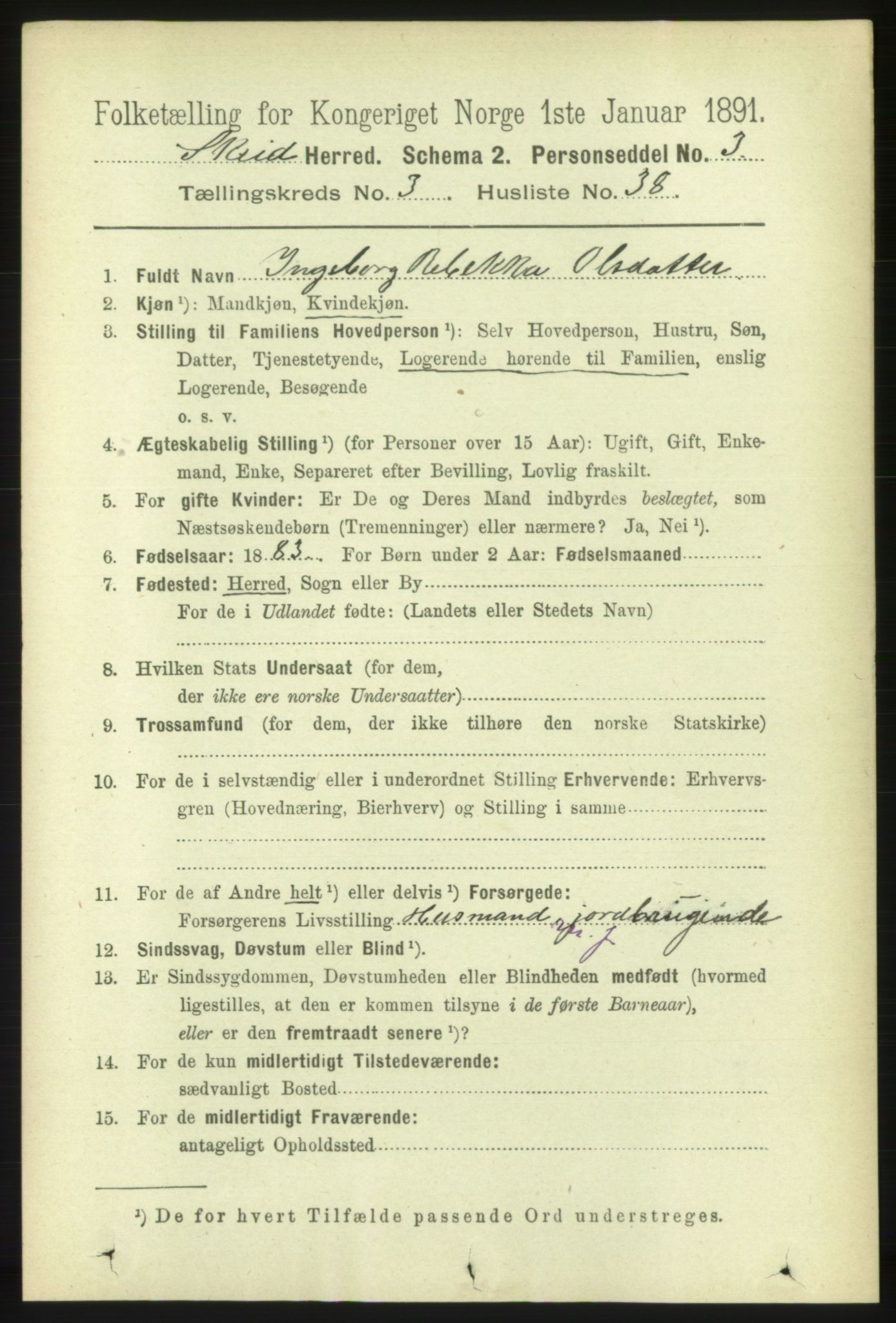 RA, 1891 census for 1732 Skei, 1891, p. 1295