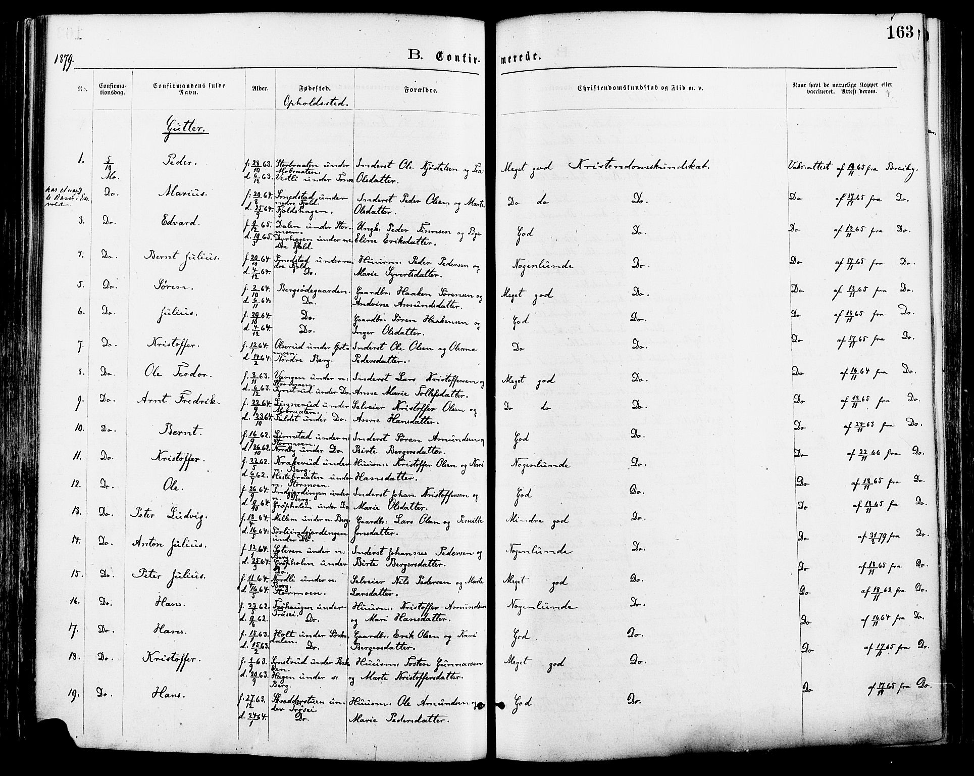 Nord-Odal prestekontor, AV/SAH-PREST-032/H/Ha/Haa/L0005: Parish register (official) no. 5, 1874-1885, p. 163