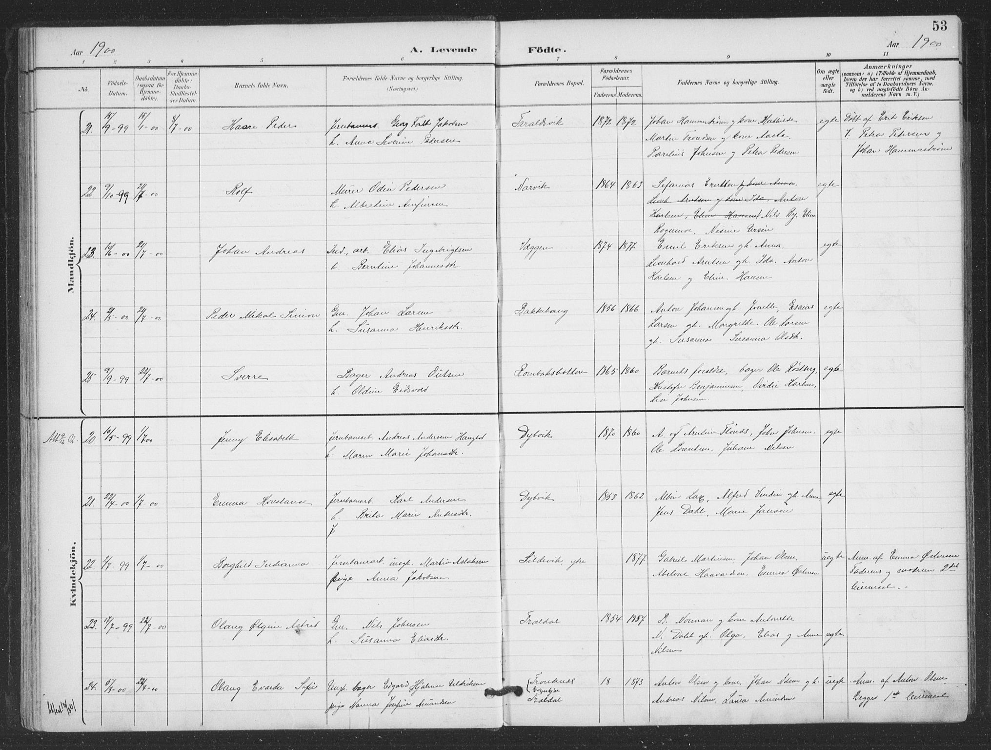 Ministerialprotokoller, klokkerbøker og fødselsregistre - Nordland, SAT/A-1459/866/L0939: Parish register (official) no. 866A02, 1894-1906, p. 53