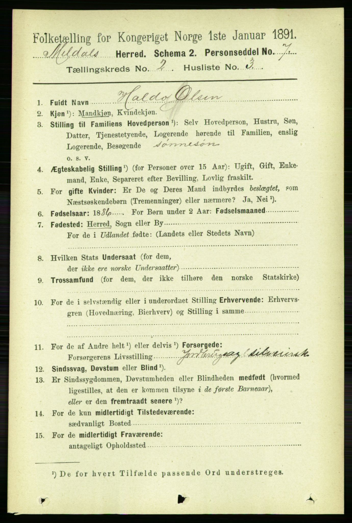 RA, 1891 census for 1636 Meldal, 1891, p. 1078