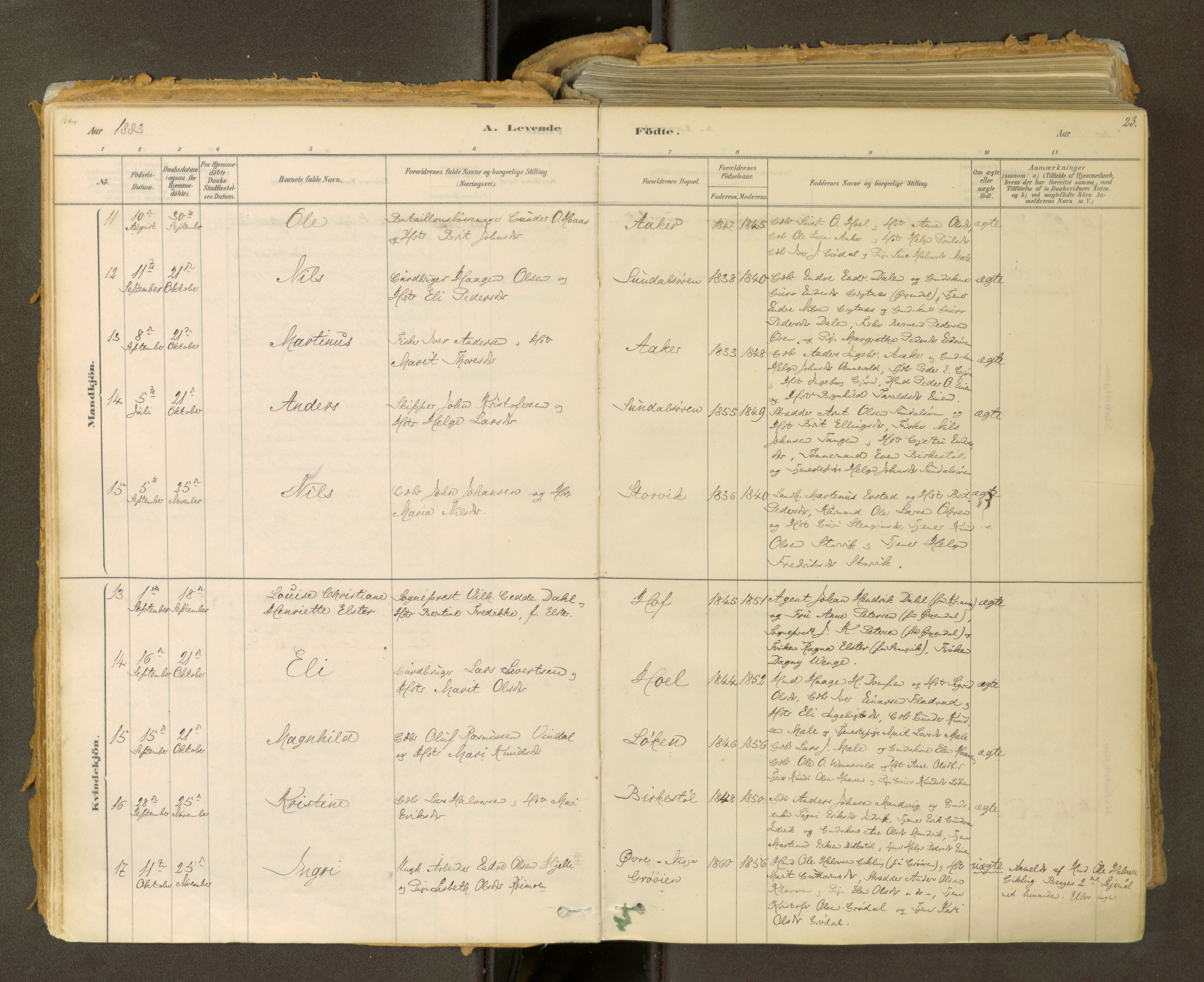 Sunndal sokneprestkontor, AV/SAT-A-1085/1/I/I1/I1a: Parish register (official) no. 2, 1877-1914, p. 23