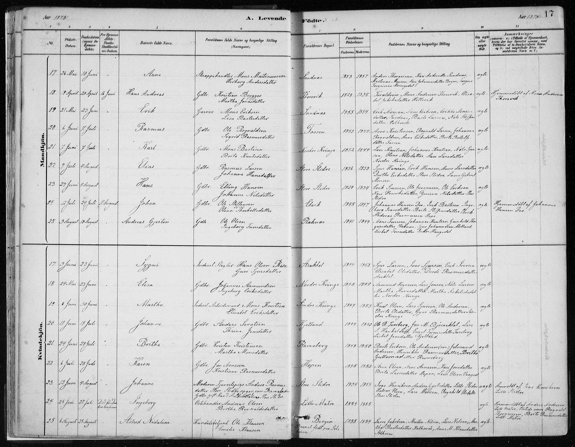 Masfjorden Sokneprestembete, AV/SAB-A-77001: Parish register (official) no. B  1, 1876-1899, p. 17