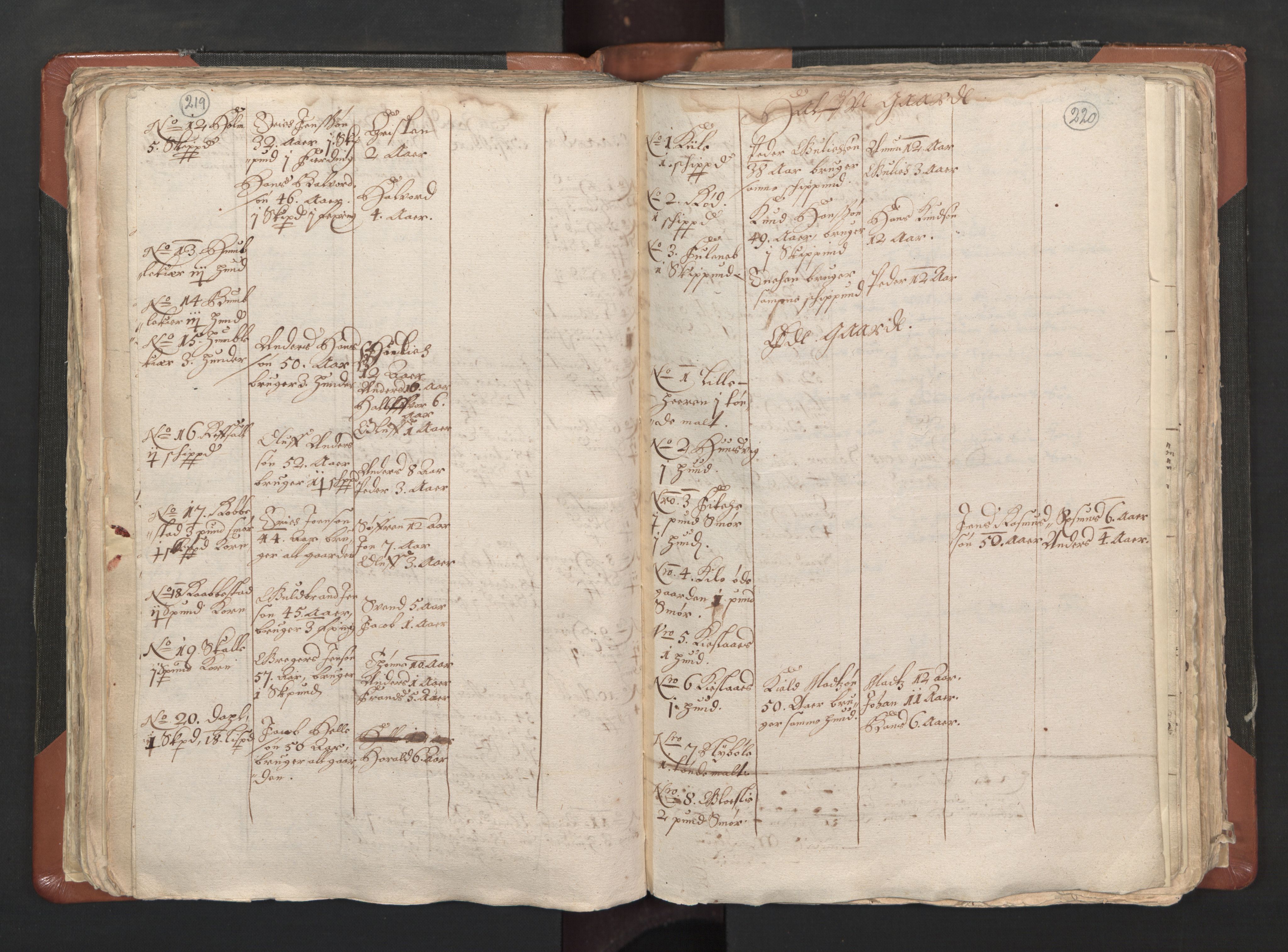 RA, Vicar's Census 1664-1666, no. 1: Nedre Borgesyssel deanery, 1664-1666, p. 219-220