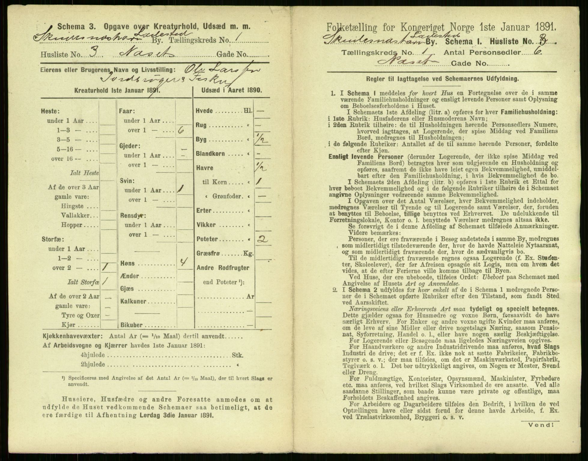 RA, 1891 census for 1104 Skudeneshavn, 1891, p. 20