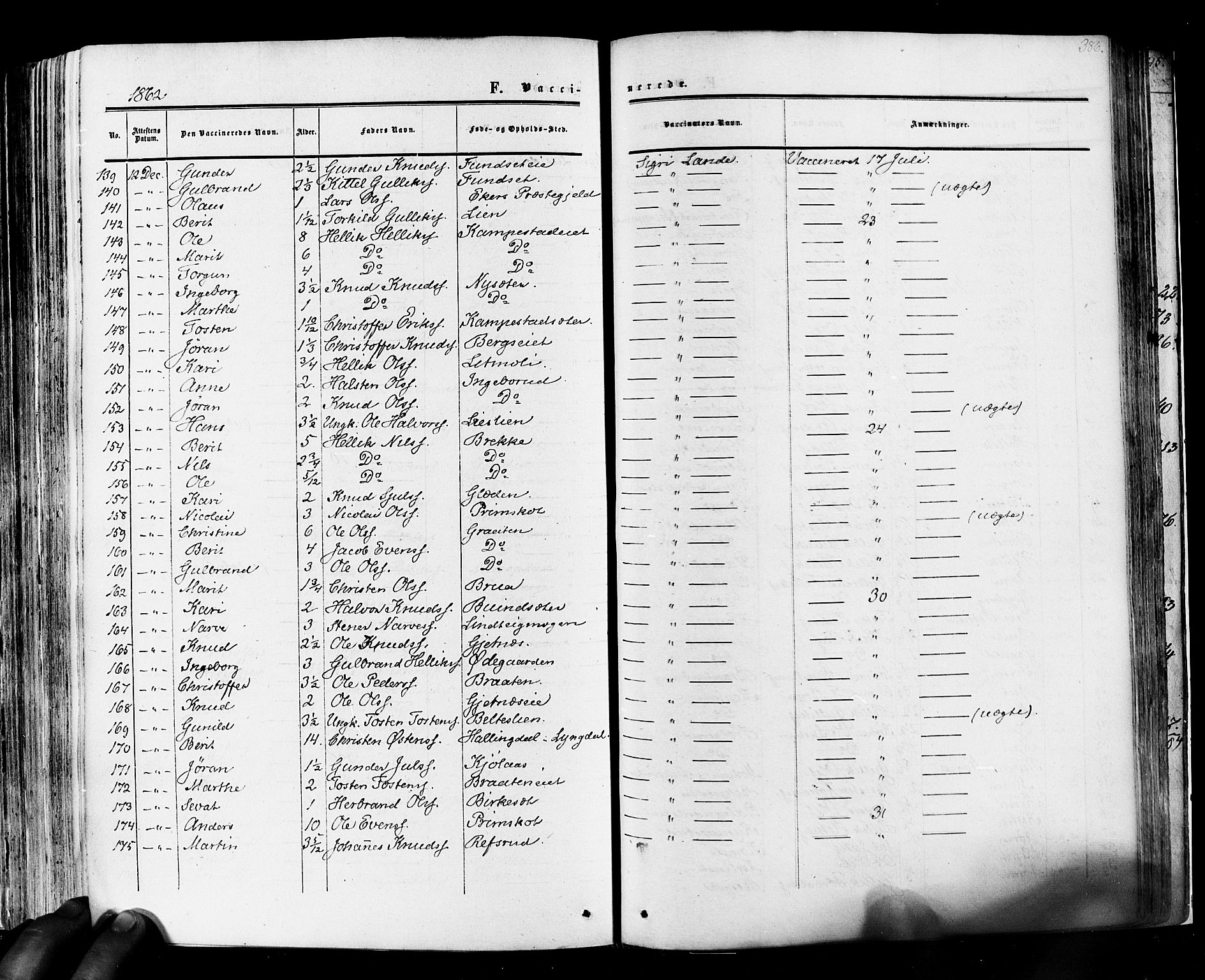 Flesberg kirkebøker, SAKO/A-18/F/Fa/L0007: Parish register (official) no. I 7, 1861-1878, p. 386