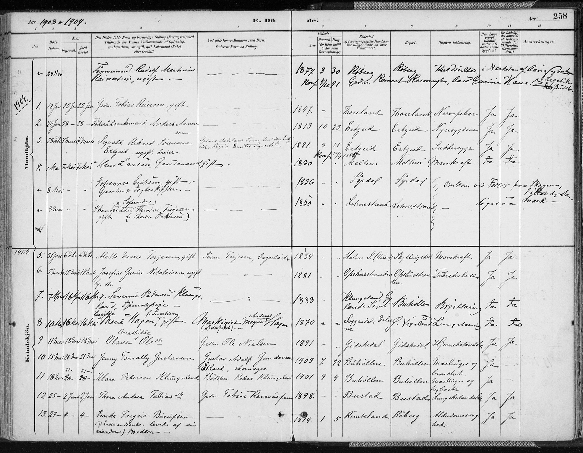 Sør-Audnedal sokneprestkontor, AV/SAK-1111-0039/F/Fa/Fab/L0010: Parish register (official) no. A 10, 1892-1913, p. 258