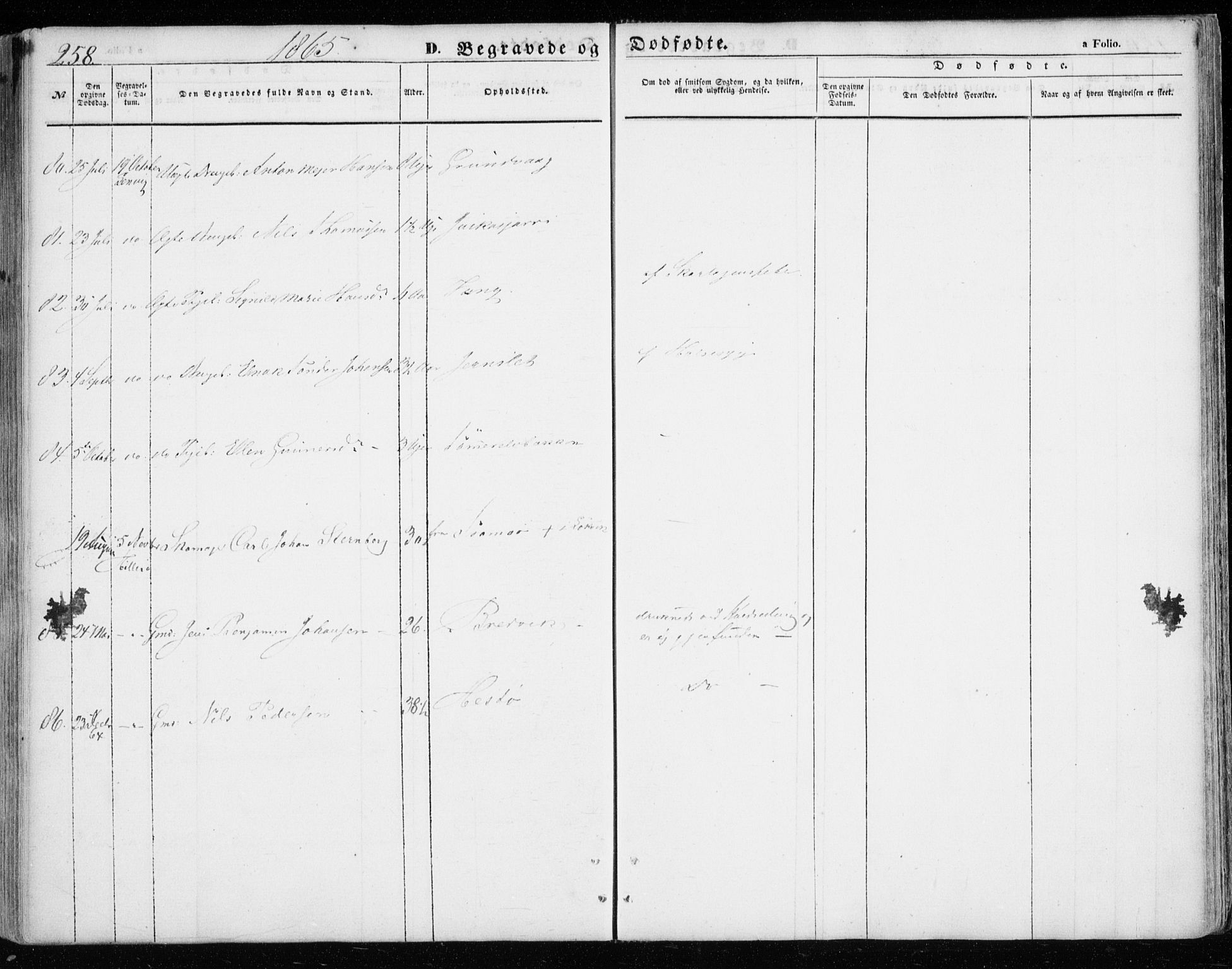 Lenvik sokneprestembete, SATØ/S-1310/H/Ha/Haa/L0007kirke: Parish register (official) no. 7, 1855-1865, p. 258