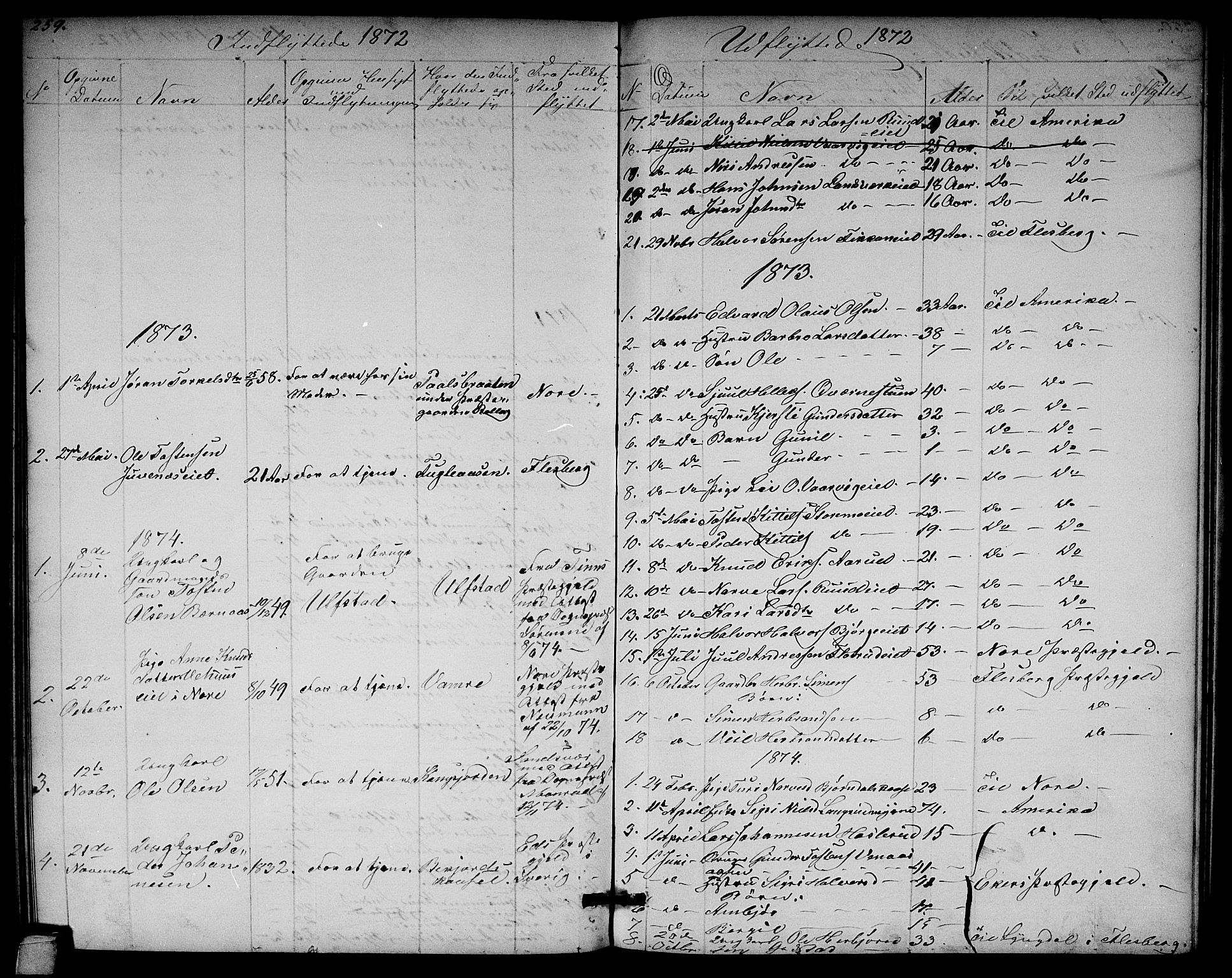 Rollag kirkebøker, AV/SAKO-A-240/G/Ga/L0003: Parish register (copy) no. I 3, 1856-1887, p. 259