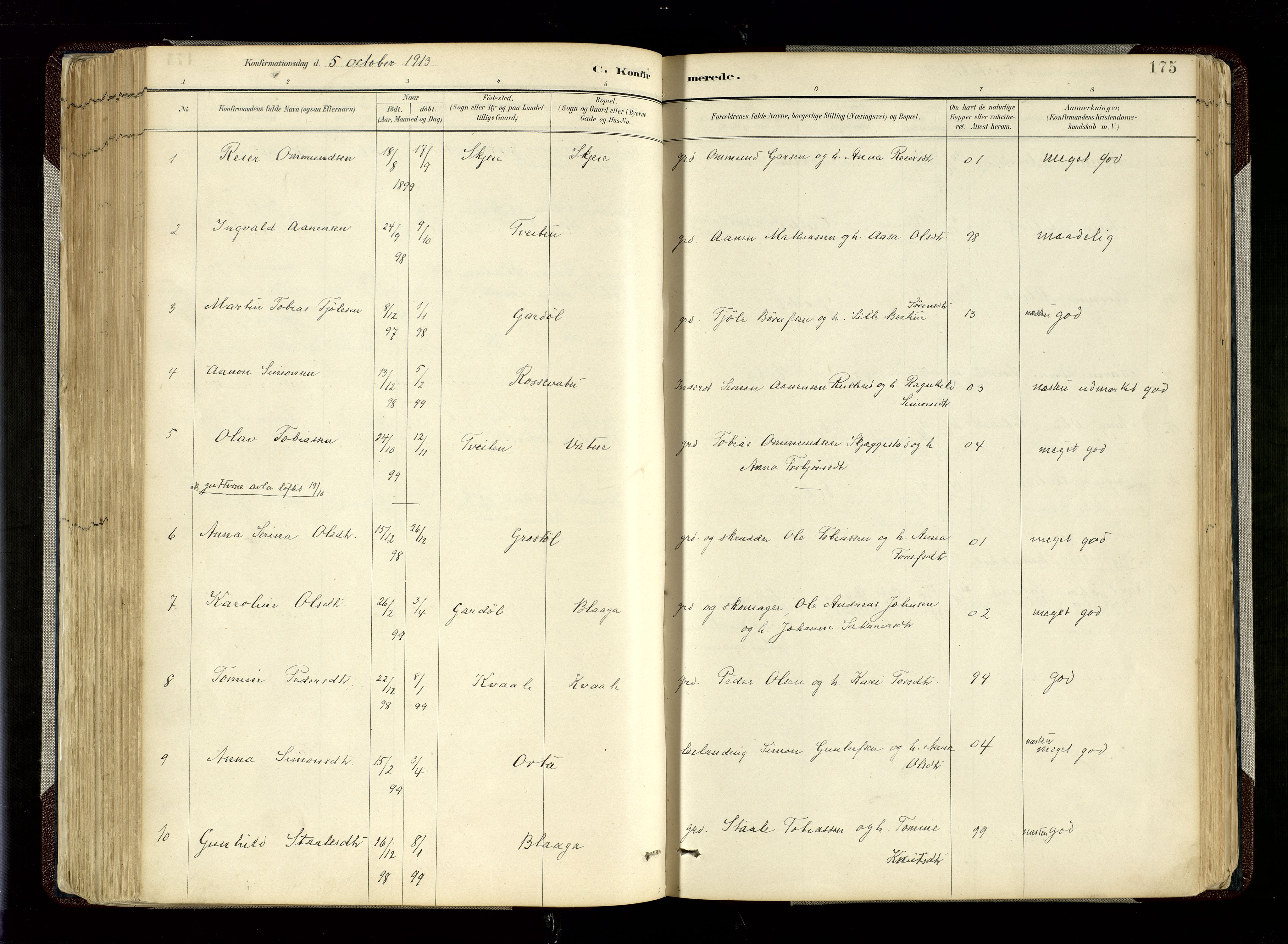 Hægebostad sokneprestkontor, SAK/1111-0024/F/Fa/Fab/L0004: Parish register (official) no. A 4, 1887-1929, p. 175