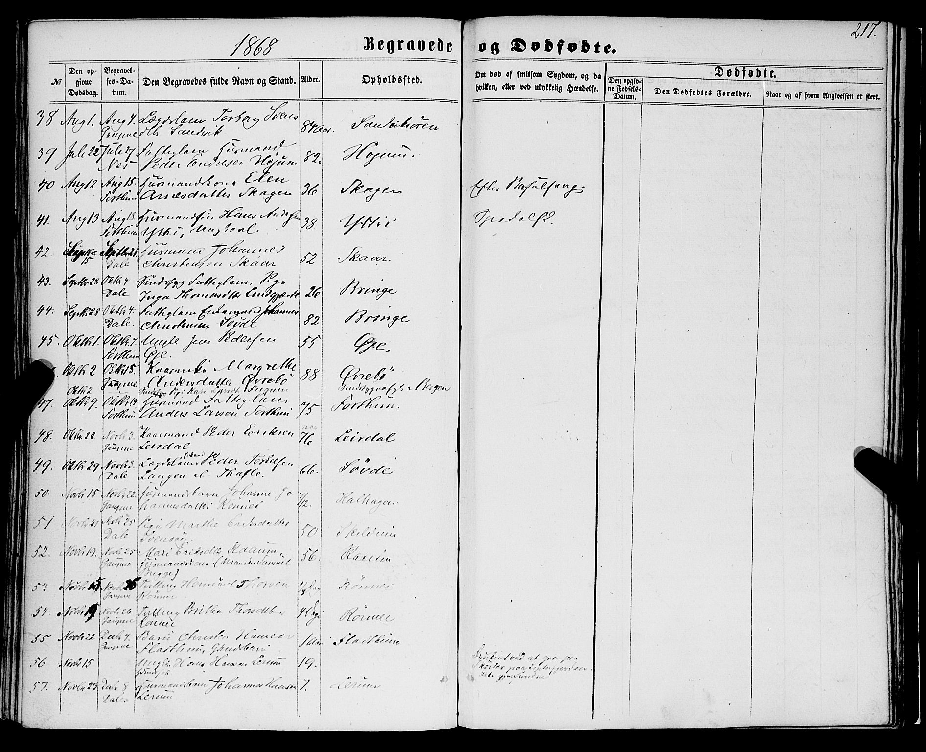 Luster sokneprestembete, AV/SAB-A-81101/H/Haa/Haaa/L0008: Parish register (official) no. A 8, 1860-1870, p. 217