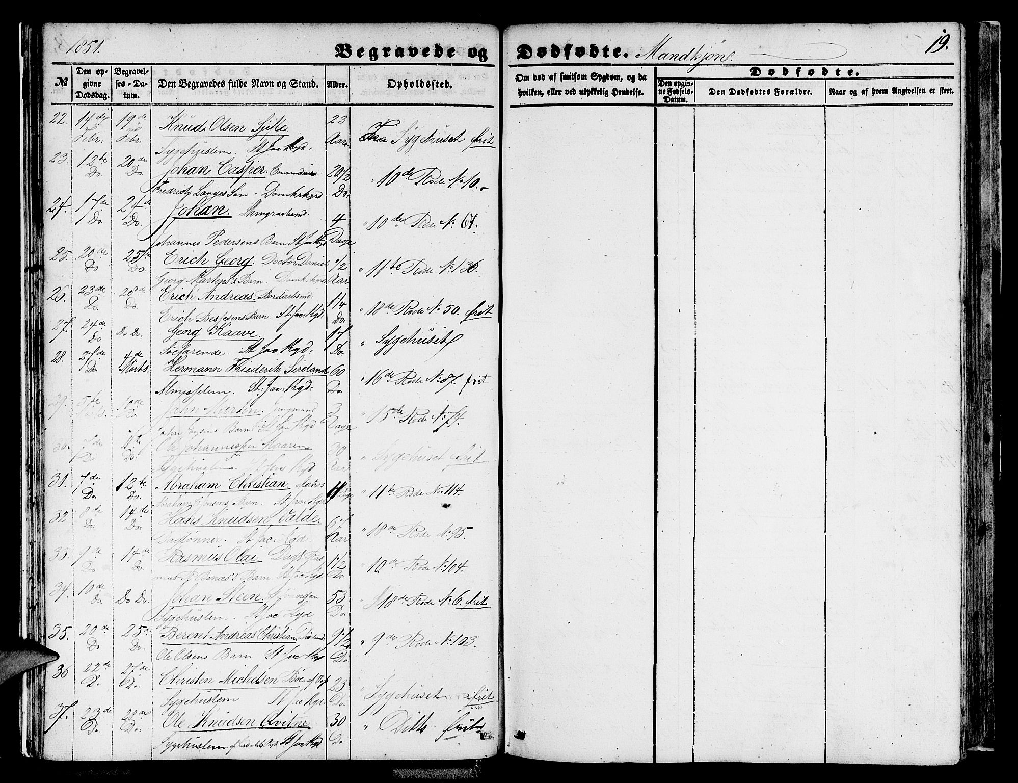Domkirken sokneprestembete, AV/SAB-A-74801/H/Hab/L0038: Parish register (copy) no. E 2, 1847-1859, p. 19