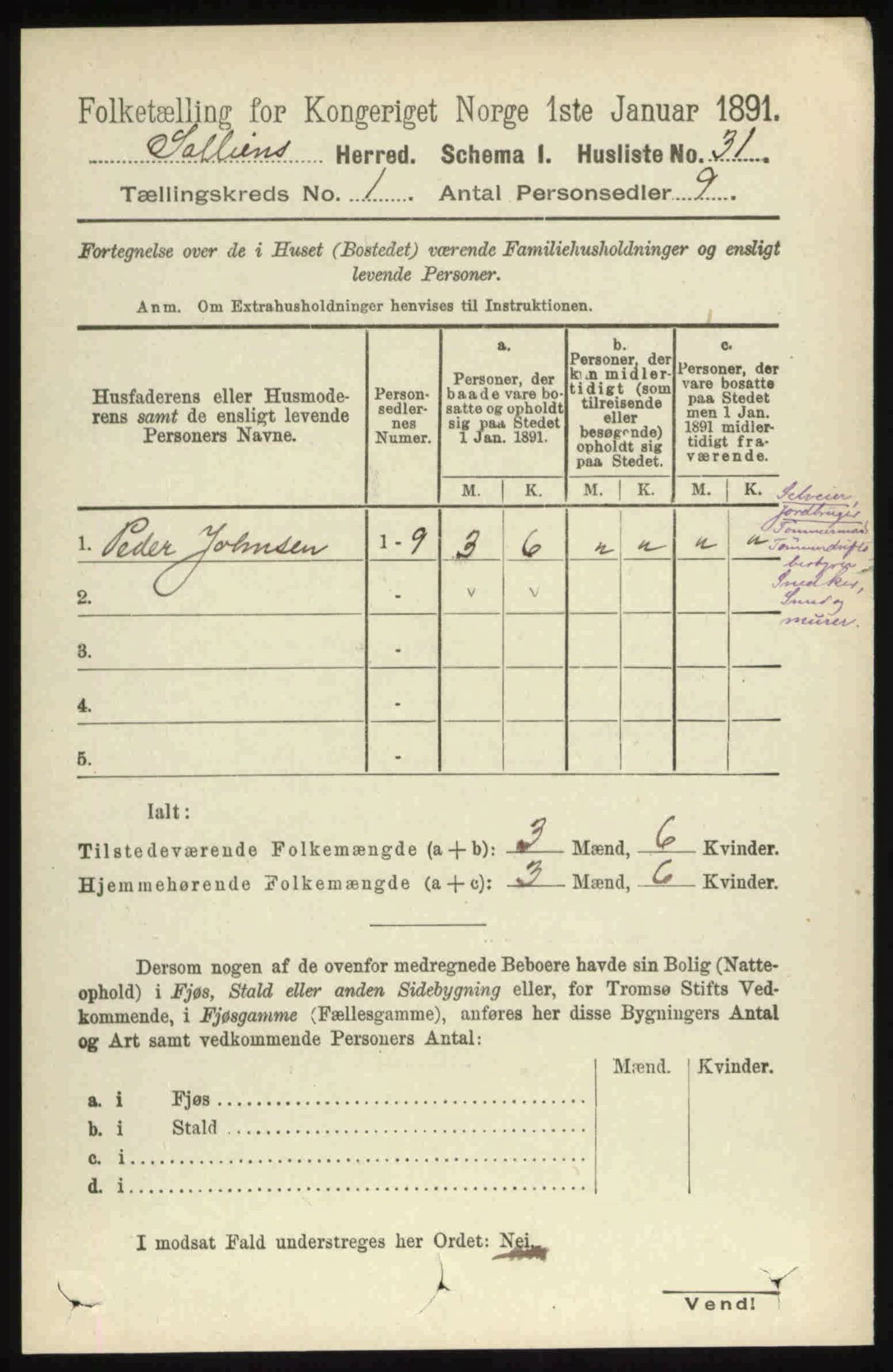 RA, 1891 census for 0431 Sollia, 1891, p. 80