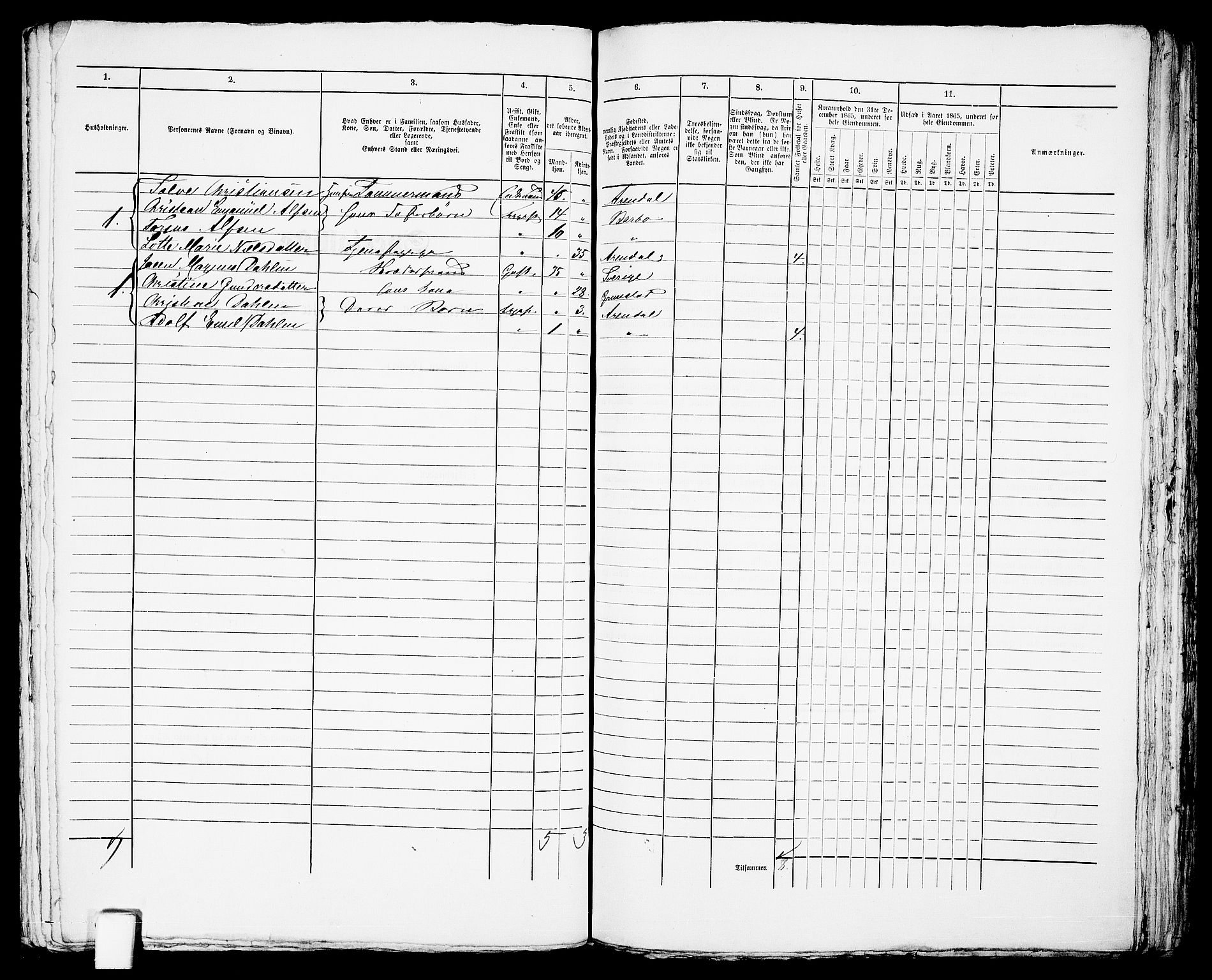 RA, 1865 census for Arendal, 1865, p. 206