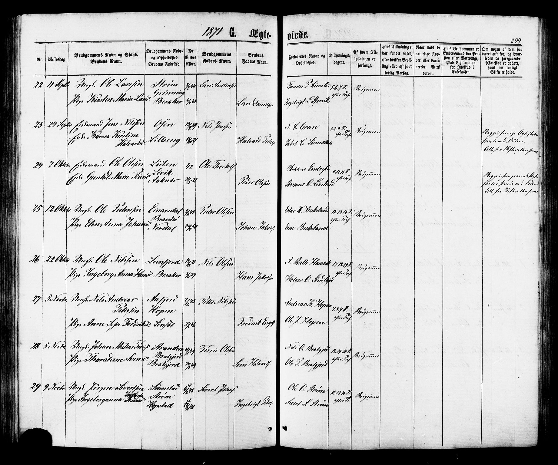 Ministerialprotokoller, klokkerbøker og fødselsregistre - Sør-Trøndelag, AV/SAT-A-1456/657/L0706: Parish register (official) no. 657A07, 1867-1878, p. 299