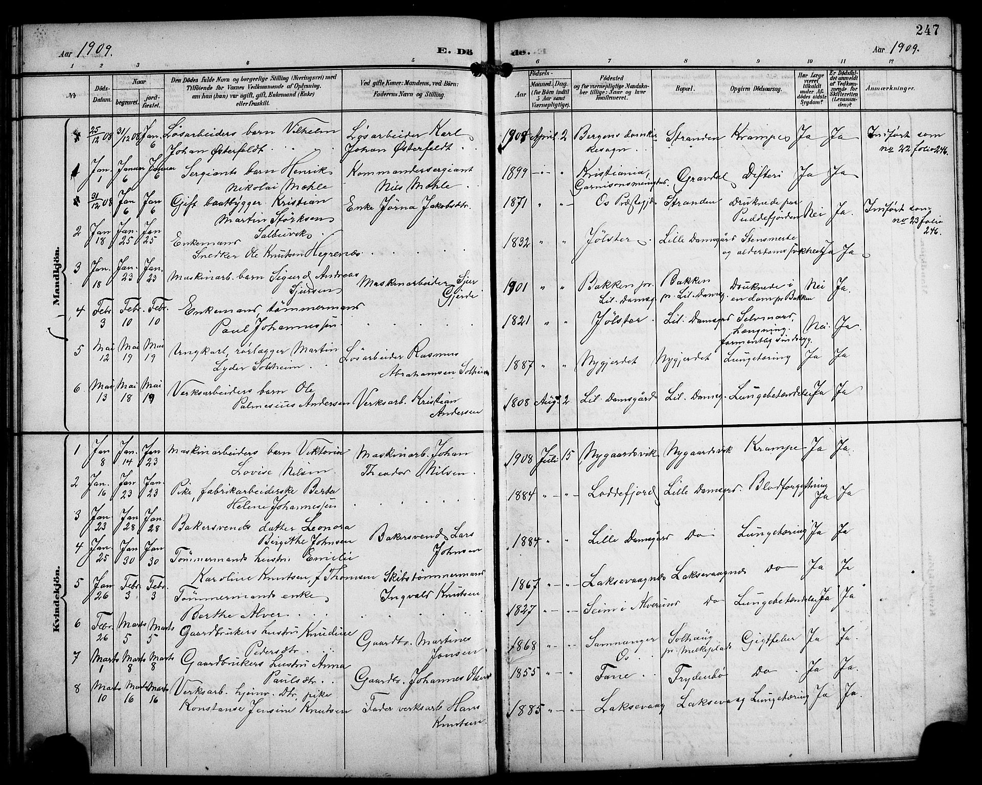 Laksevåg Sokneprestembete, SAB/A-76501/H/Ha/Hab/Haba/L0004: Parish register (copy) no. A 4, 1899-1909, p. 247