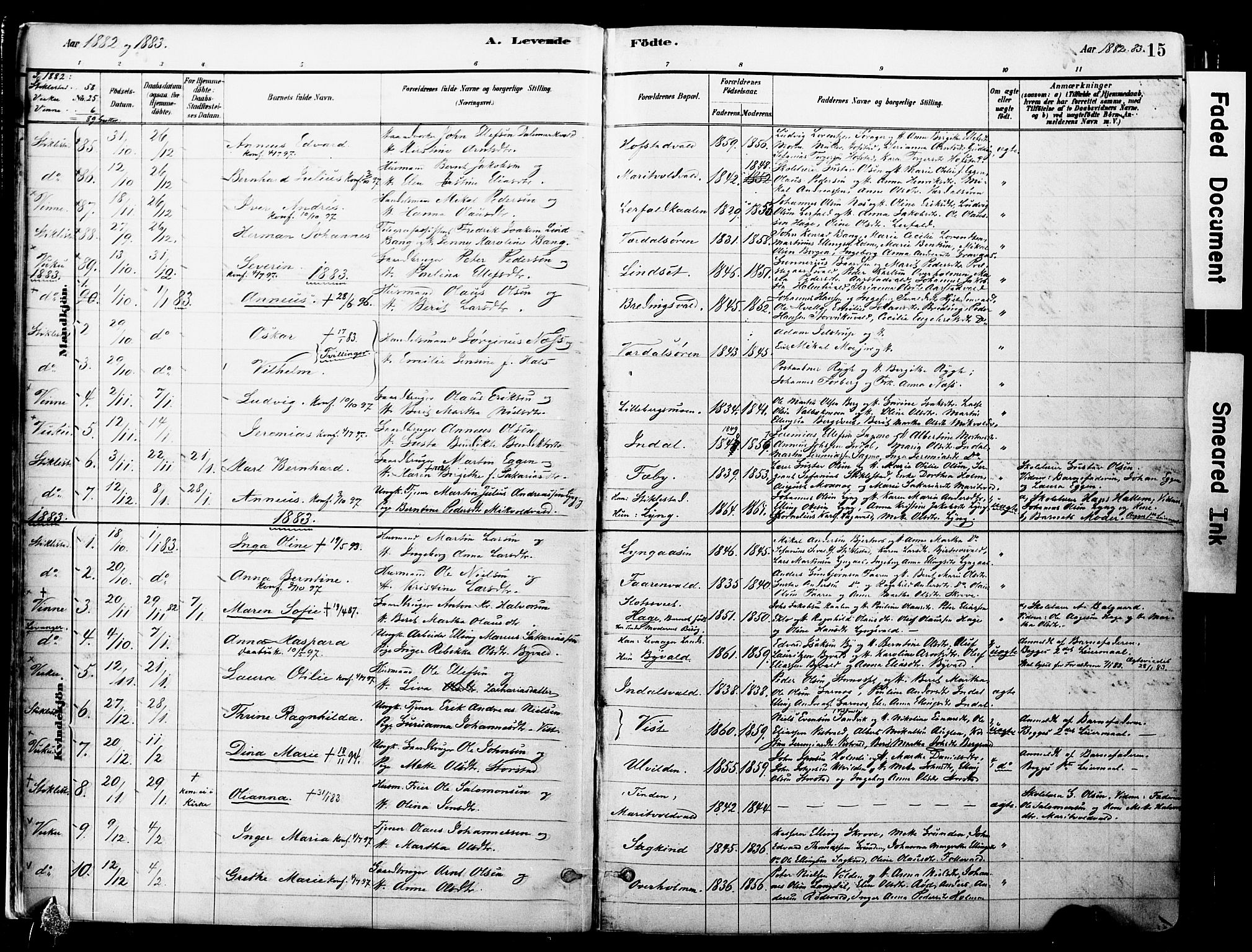 Ministerialprotokoller, klokkerbøker og fødselsregistre - Nord-Trøndelag, AV/SAT-A-1458/723/L0244: Parish register (official) no. 723A13, 1881-1899, p. 15