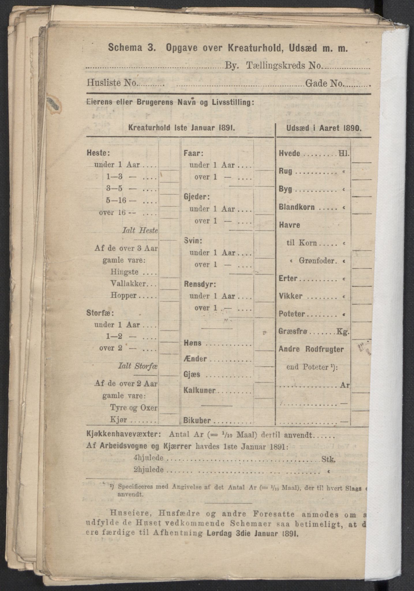 RA, 1891 Census for 1301 Bergen, 1891, p. 2464