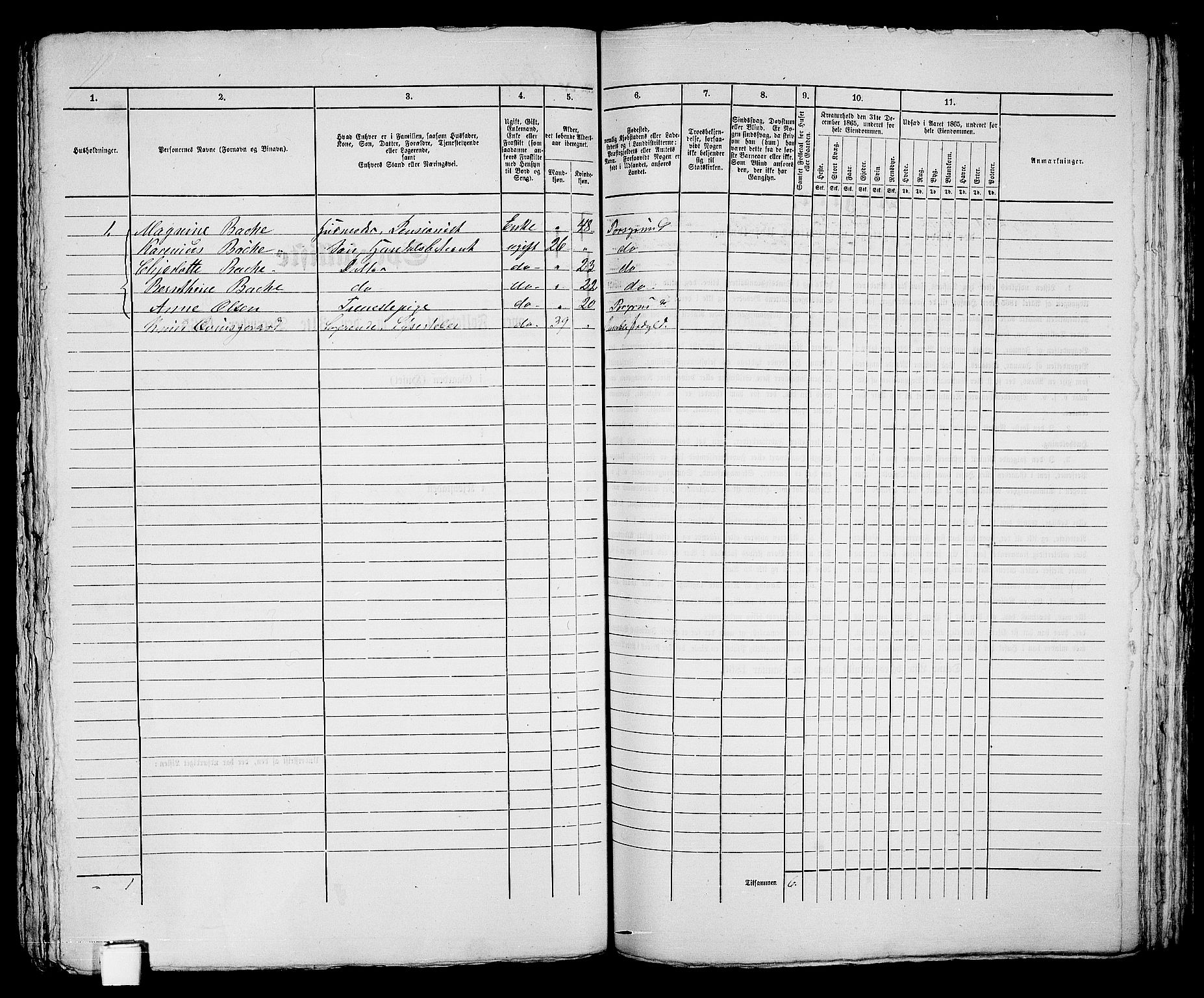 RA, 1865 census for Skien, 1865, p. 725