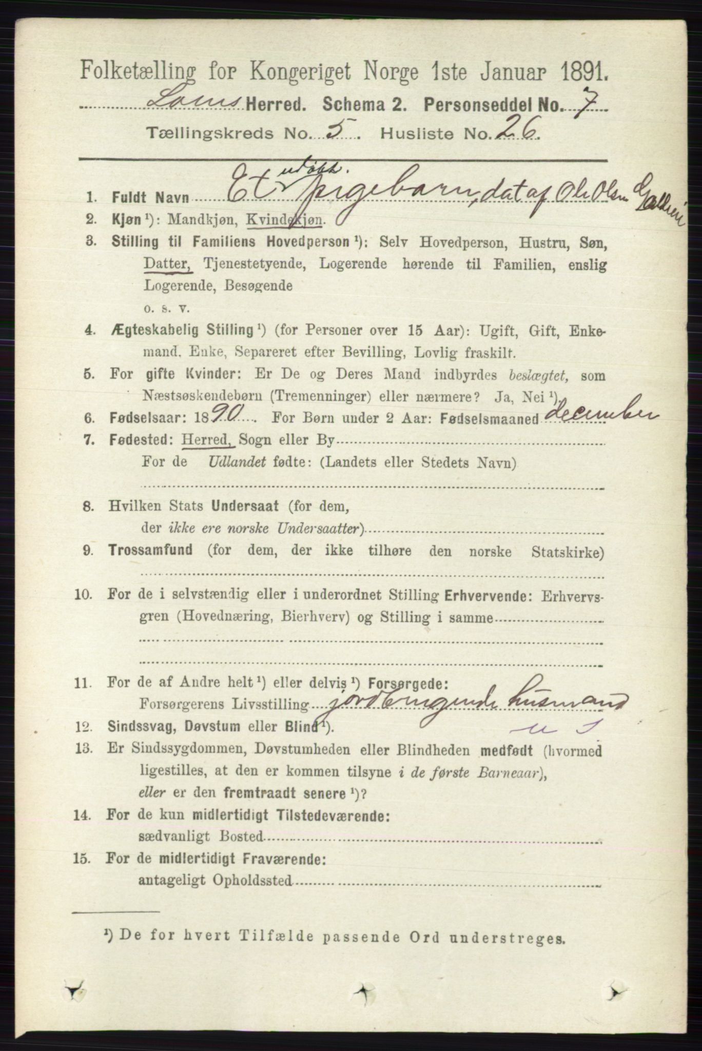 RA, 1891 census for 0514 Lom, 1891, p. 2007