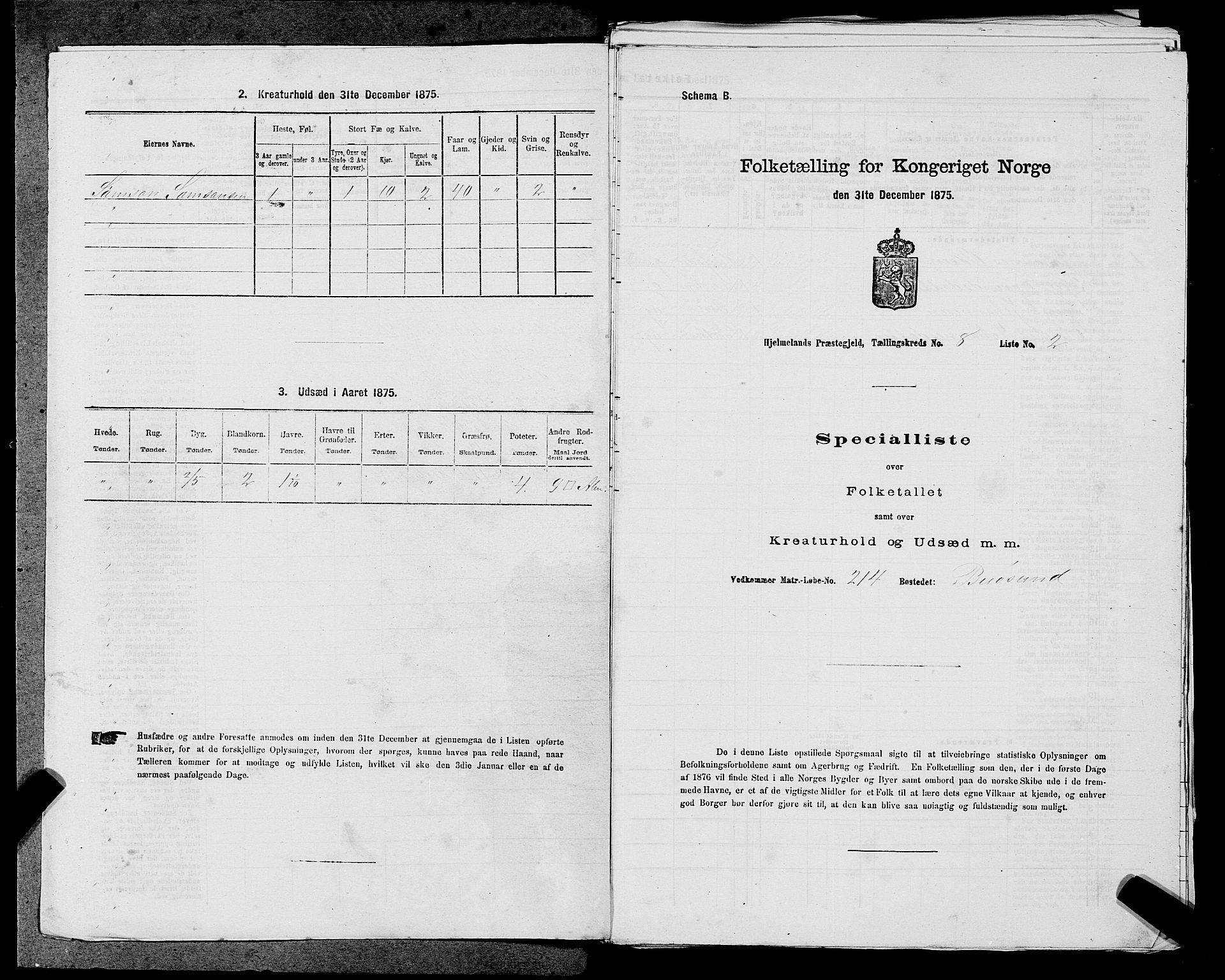 SAST, 1875 census for 1133P Hjelmeland, 1875, p. 1050