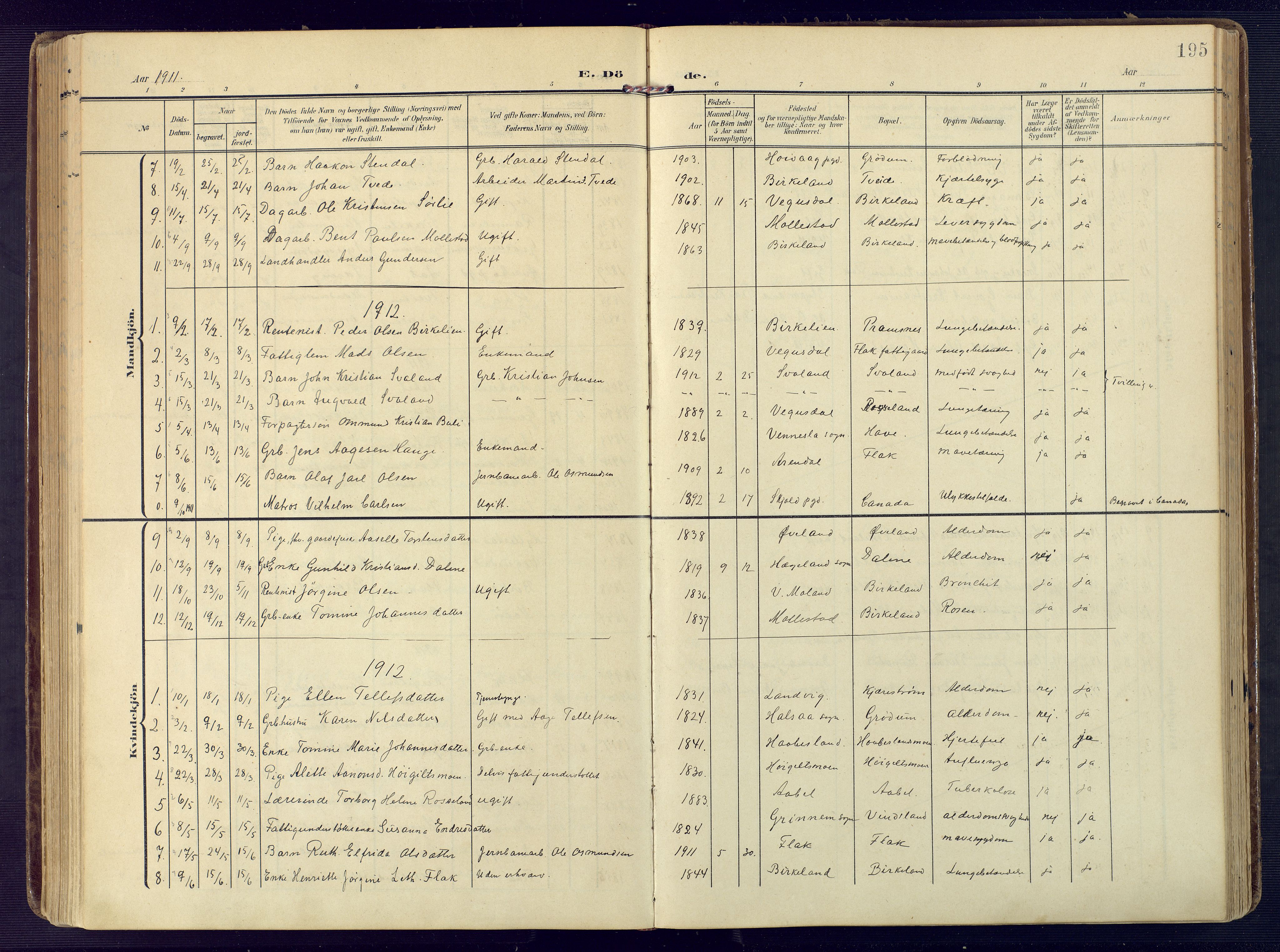 Birkenes sokneprestkontor, SAK/1111-0004/F/Fa/L0006: Parish register (official) no. A 6, 1908-1932, p. 195