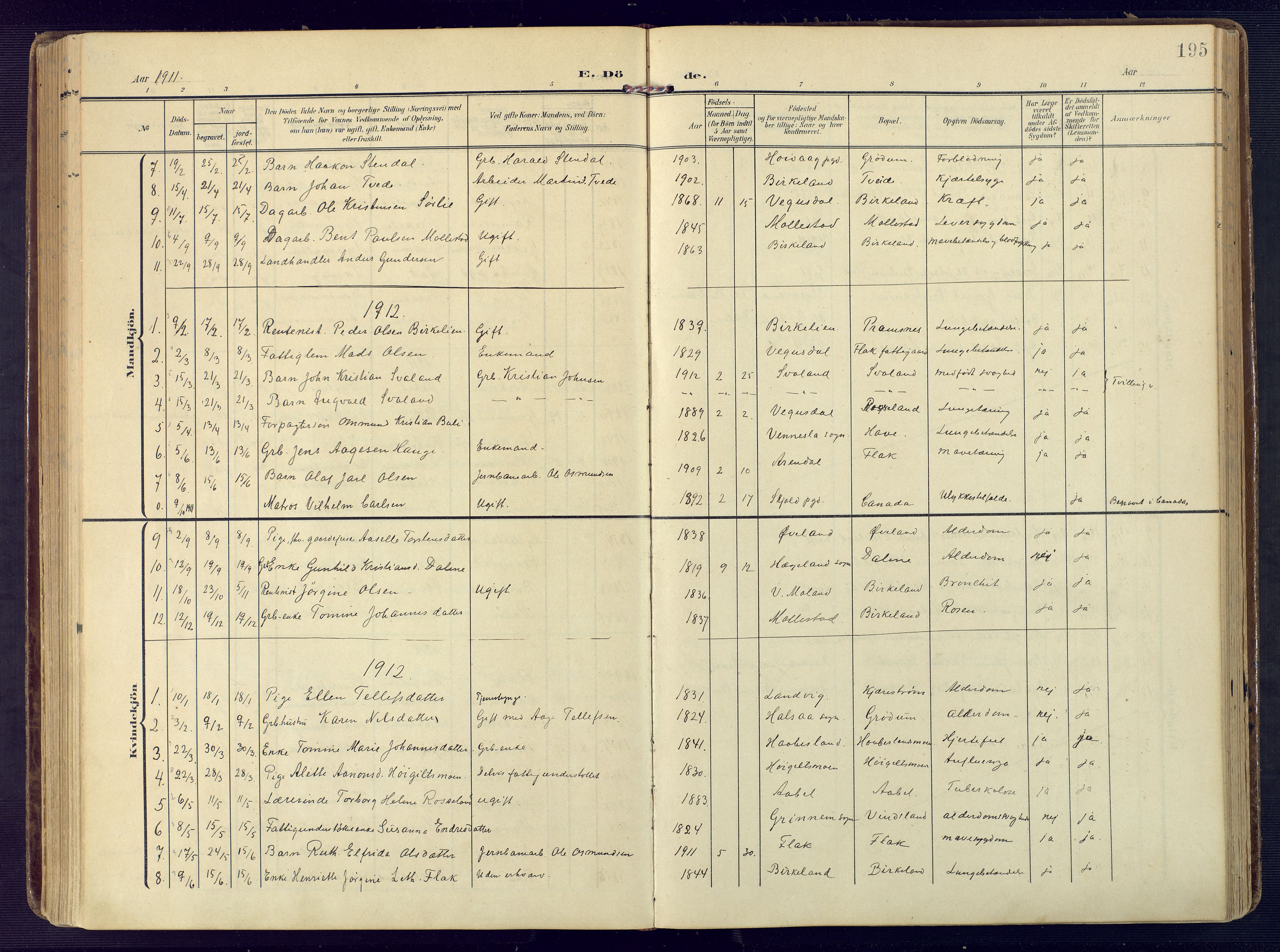 Birkenes sokneprestkontor, AV/SAK-1111-0004/F/Fa/L0006: Parish register (official) no. A 6, 1908-1932, p. 195