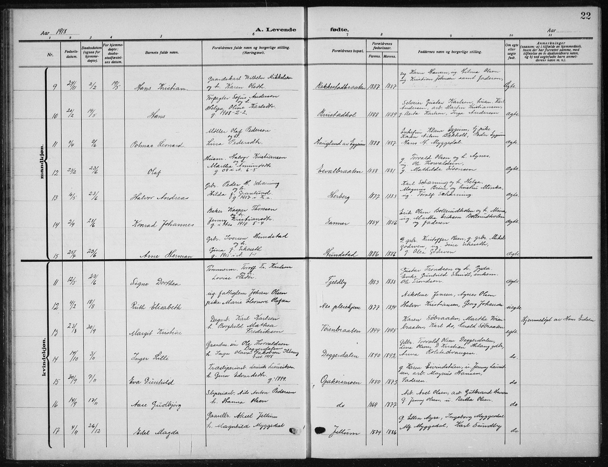 Nes prestekontor Kirkebøker, AV/SAO-A-10410/G/Ga/L0003: Parish register (copy) no. I 3, 1913-1941, p. 22