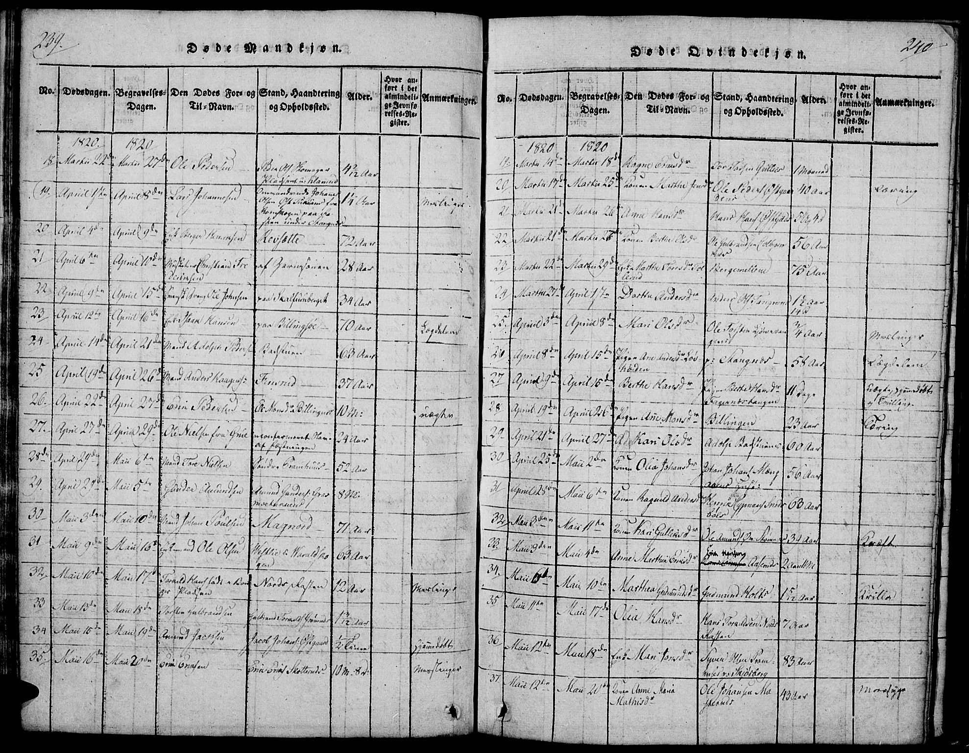 Vinger prestekontor, SAH/PREST-024/H/Ha/Hab/L0001: Parish register (copy) no. 1, 1814-1825, p. 239-240
