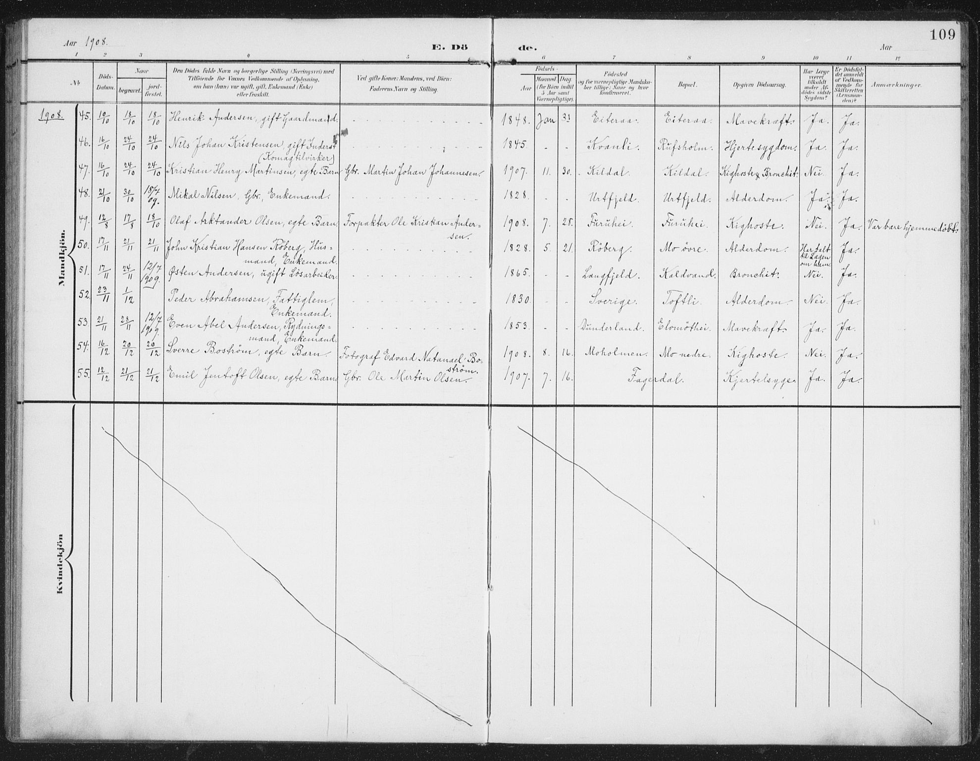 Ministerialprotokoller, klokkerbøker og fødselsregistre - Nordland, AV/SAT-A-1459/827/L0403: Parish register (official) no. 827A15, 1903-1912, p. 109