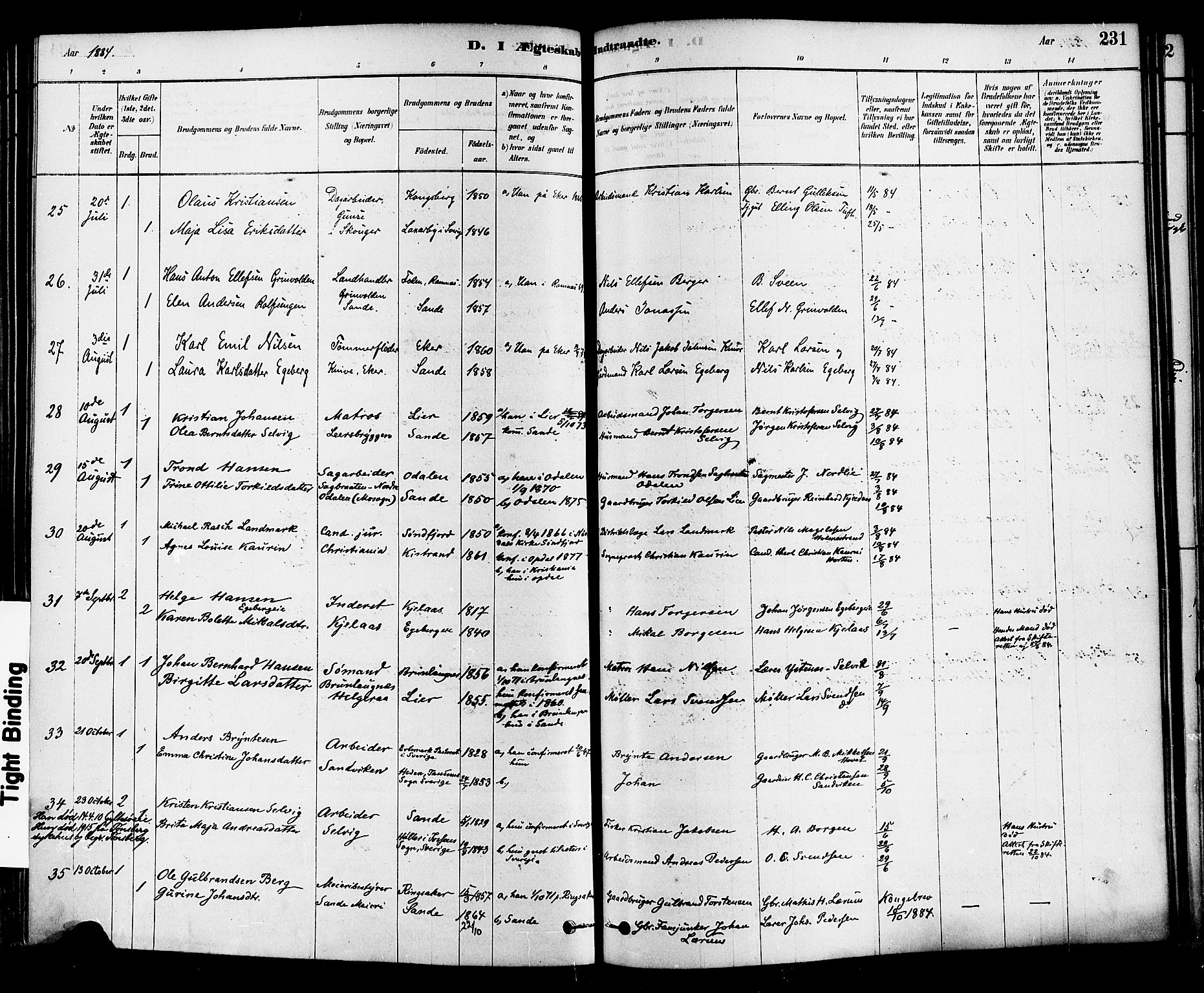 Sande Kirkebøker, SAKO/A-53/F/Fa/L0006: Parish register (official) no. 6, 1878-1888, p. 231