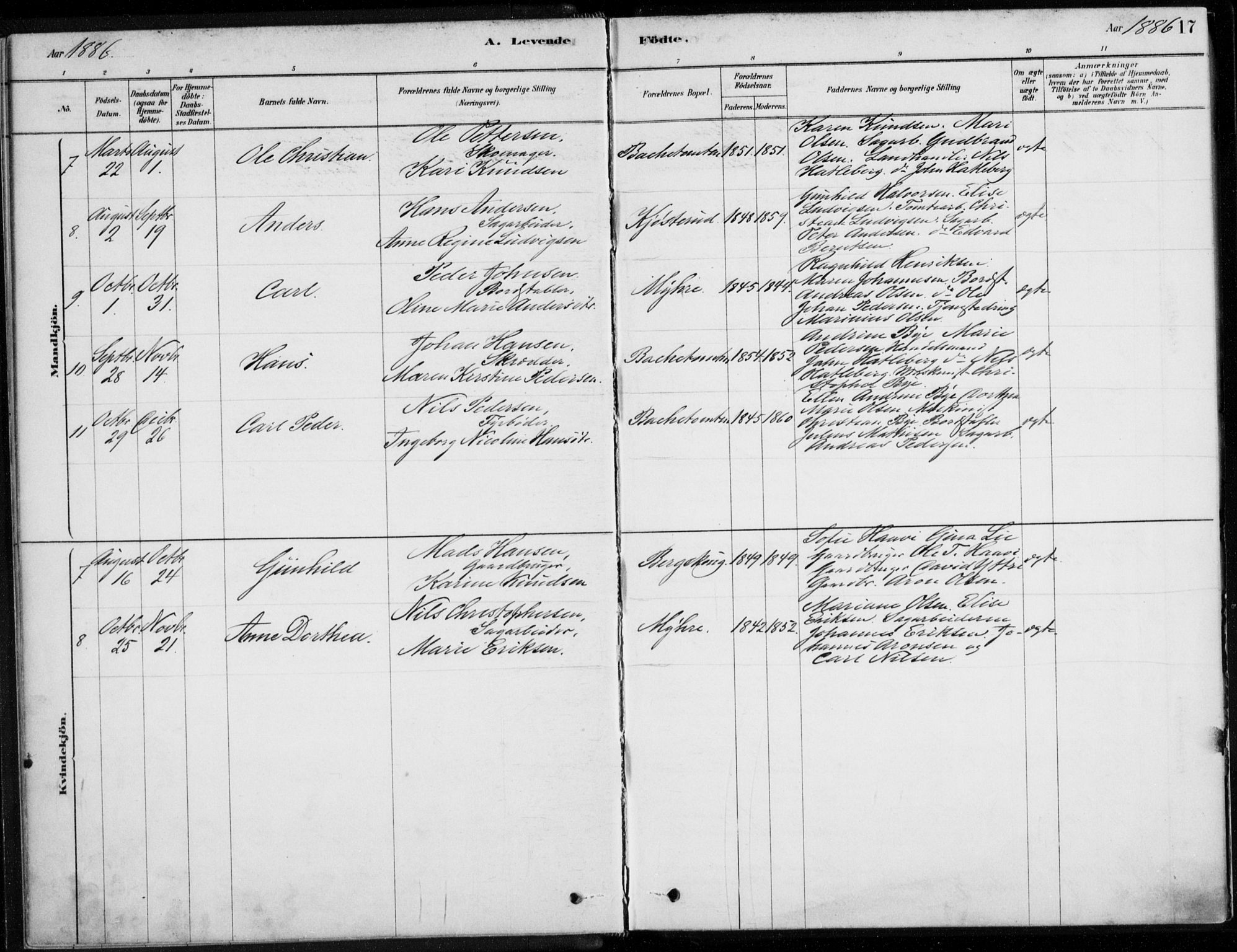 Åssiden kirkebøker, SAKO/A-251/F/Fa/L0001: Parish register (official) no. 1, 1878-1904, p. 17
