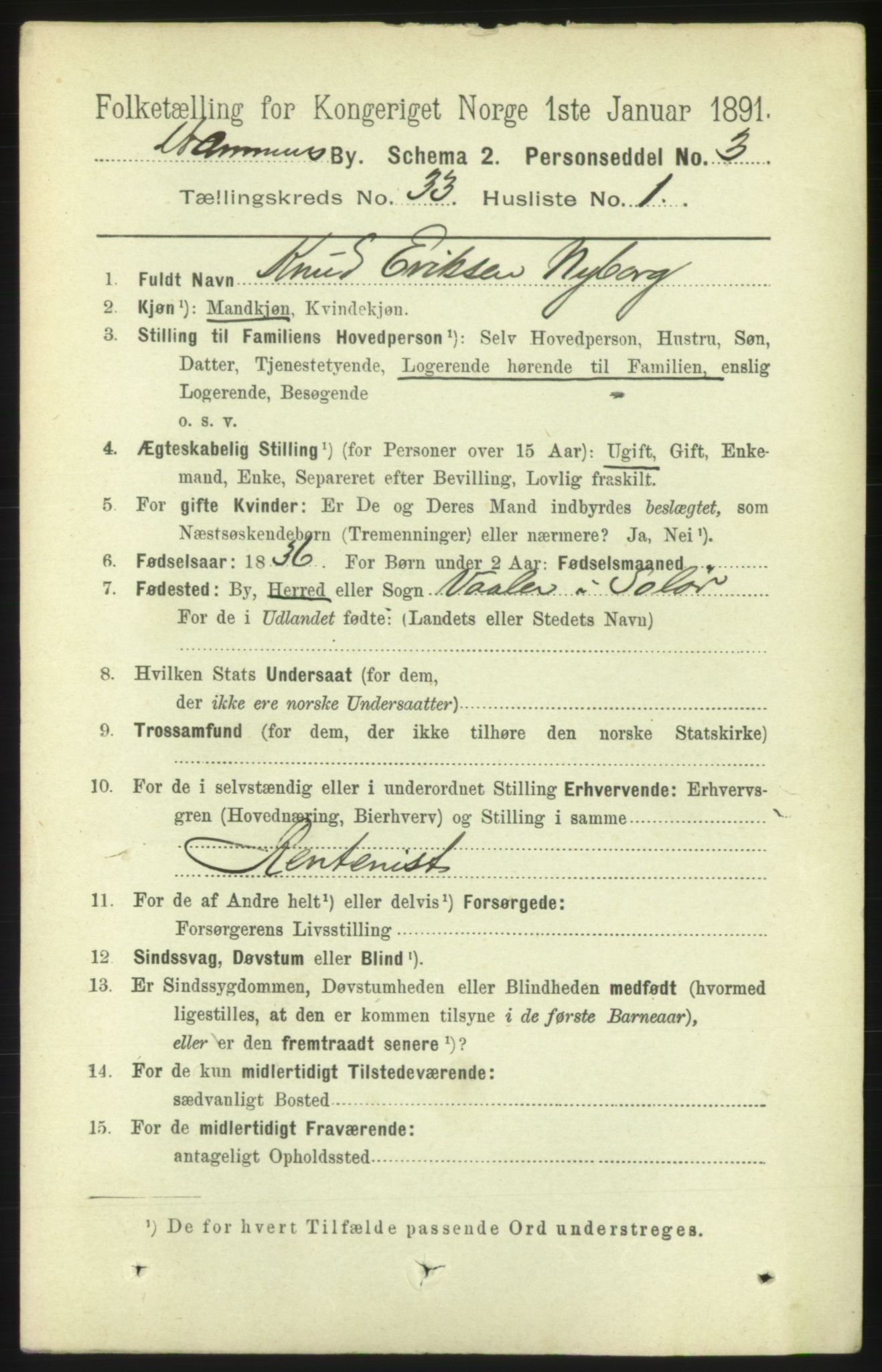 RA, 1891 census for 0602 Drammen, 1891, p. 20084