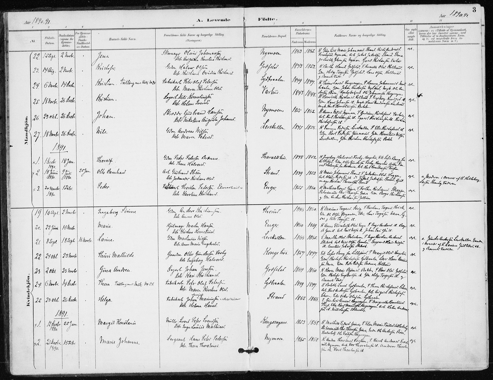 Modum kirkebøker, AV/SAKO-A-234/F/Fa/L0016: Parish register (official) no. 16, 1890-1899, p. 3