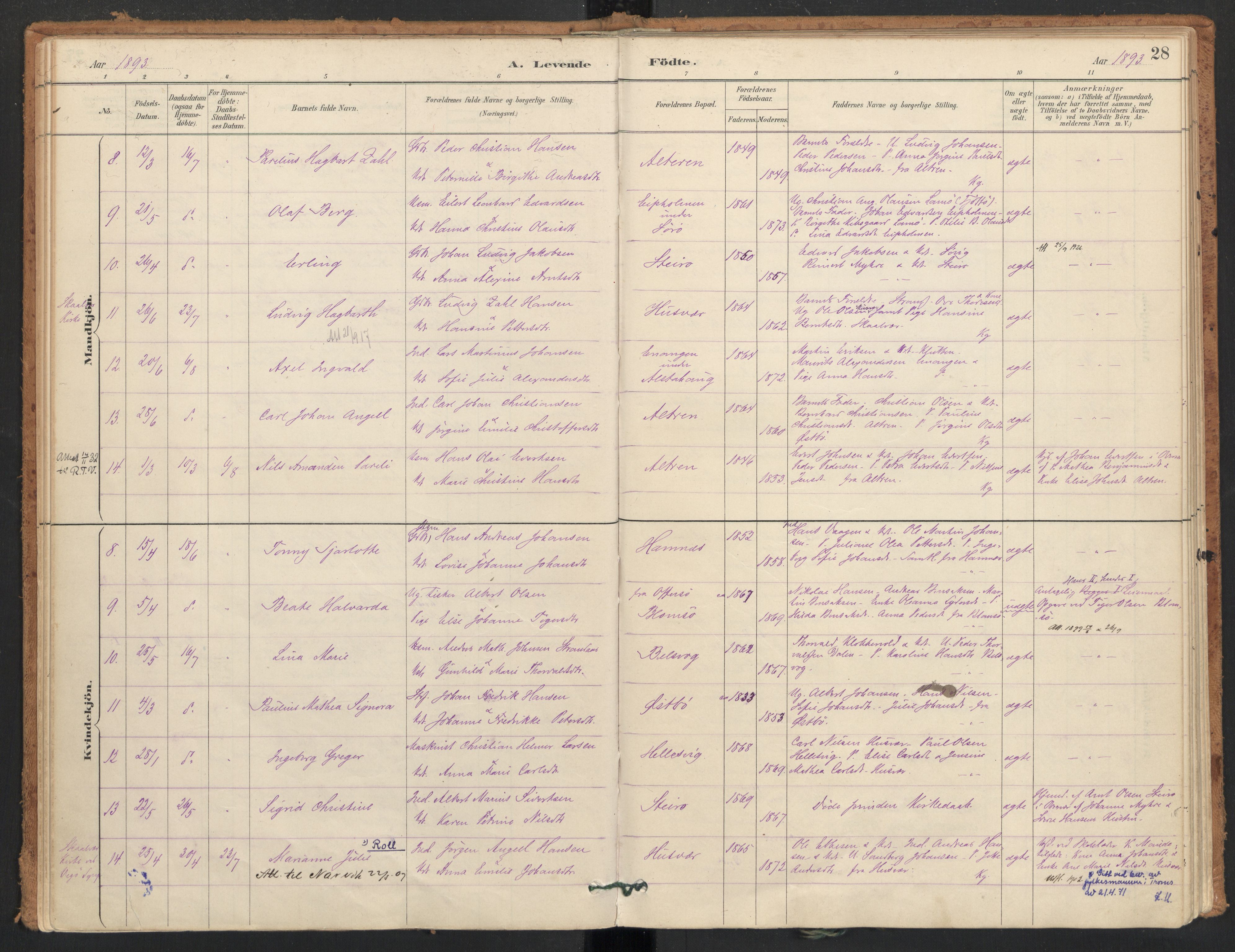 Ministerialprotokoller, klokkerbøker og fødselsregistre - Nordland, SAT/A-1459/830/L0453: Parish register (official) no. 830A17, 1886-1911, p. 28