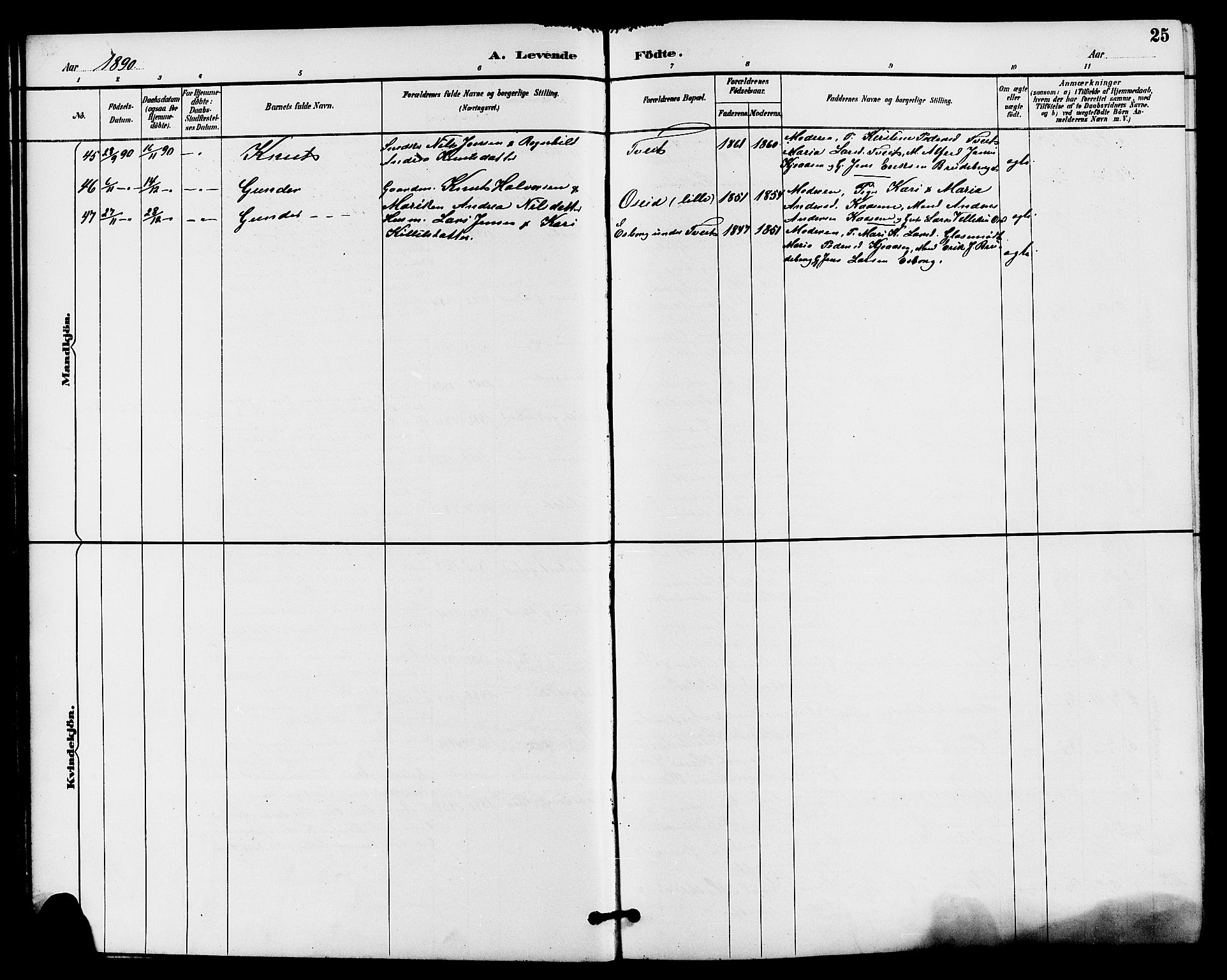 Drangedal kirkebøker, SAKO/A-258/G/Ga/L0003: Parish register (copy) no. I 3, 1887-1906, p. 25