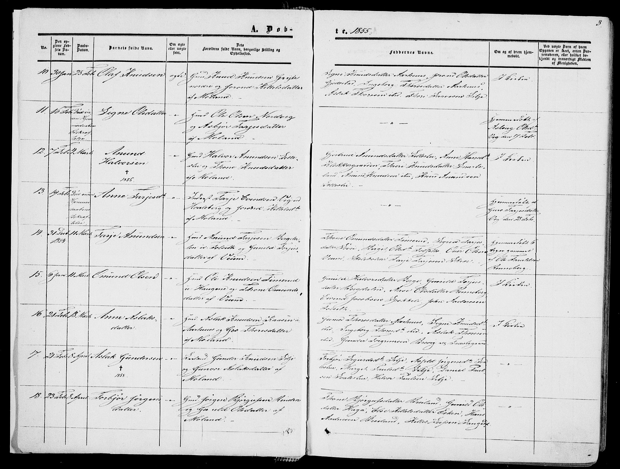 Fyresdal kirkebøker, AV/SAKO-A-263/F/Fa/L0005: Parish register (official) no. I 5, 1855-1871, p. 3