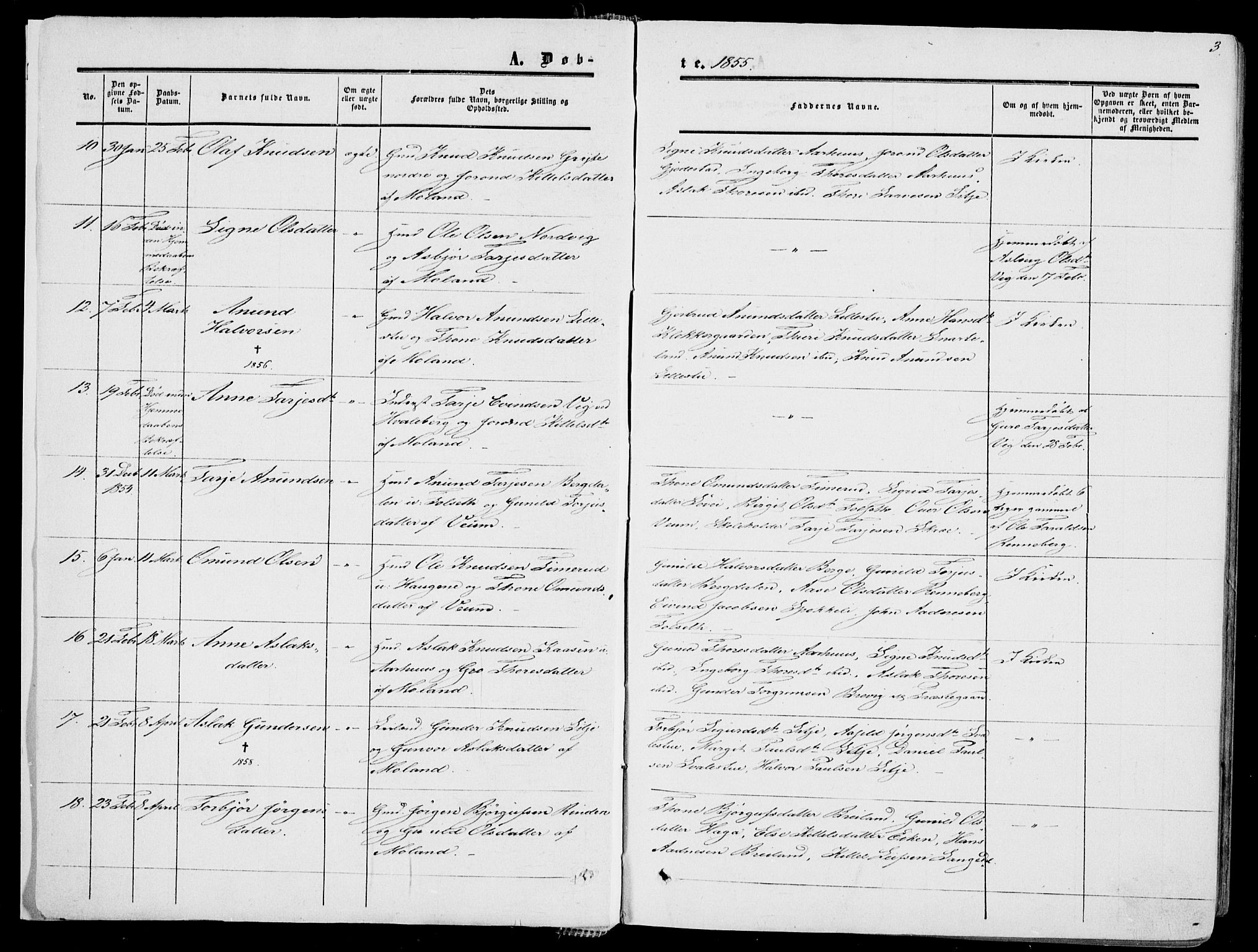 Fyresdal kirkebøker, SAKO/A-263/F/Fa/L0005: Parish register (official) no. I 5, 1855-1871, p. 3